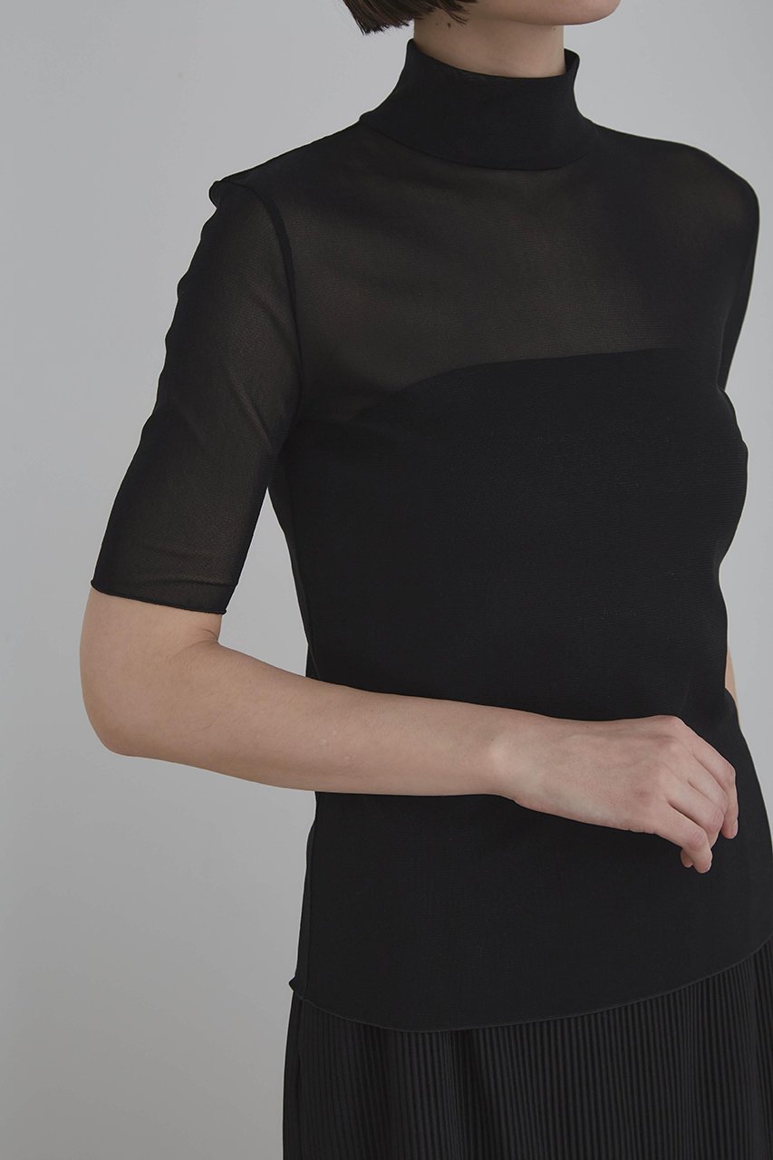 【ル フィル/LE PHIL】のチュールメッシュT 人気、トレンドファッション・服の通販 founy(ファニー) 　ファッション　Fashion　レディースファッション　Fashion for Women　トップス・カットソー　Cut & Sew Tops　シャツ・ブラウス・オフィスカジュアル　Elegant Blouses & Button-Ups　ロングTシャツ・Tシャツ　Longline T-Shirts & Tees　カットソー・ベーシックTシャツ　Cut-and-Sewn Tops / Stretch Tees & Basics　インナー　Innerwear　シアー　Sheer, See-Through　ショート　Short, Short Length　スリーブ　Sleeve, Long Sleeve / Short Sleeve　ハイネック　High Neck, Mock Neck　エレガント 上品　Elegant　other-6|ID: prp329100003973931 ipo3291000000032845888