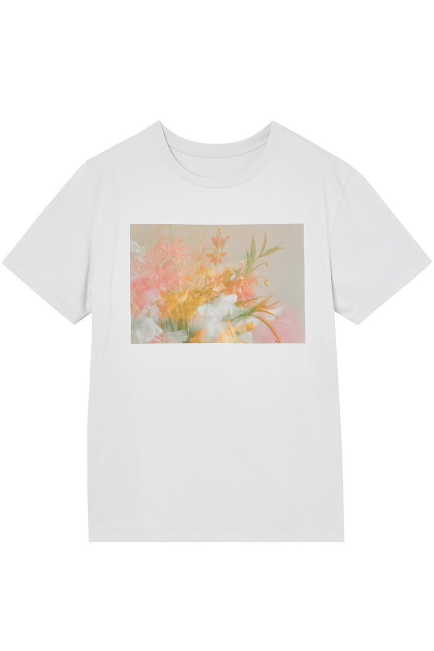【アナイ/ANAYI】のコットン天竺フラワープリントTシャツ 人気、トレンドファッション・服の通販 founy(ファニー) 　ファッション　Fashion　レディースファッション　WOMEN　トップス・カットソー　Tops/Tshirt　シャツ/ブラウス　Shirts/Blouses　ロング / Tシャツ　T-Shirts　カットソー　Cut and Sewn　花柄・フラワープリント・モチーフ　Flower Patterns　なめらか　Smooth　エレガント 上品　Elegant　ショート　Short　スリーブ　Sleeve　バランス　Balance　フラワー　Flower　プリント　Print　ミックス　Mix　リアル　Real　リラックス　Relax　 other-1|ID: prp329100003980909 ipo3291000000030865449