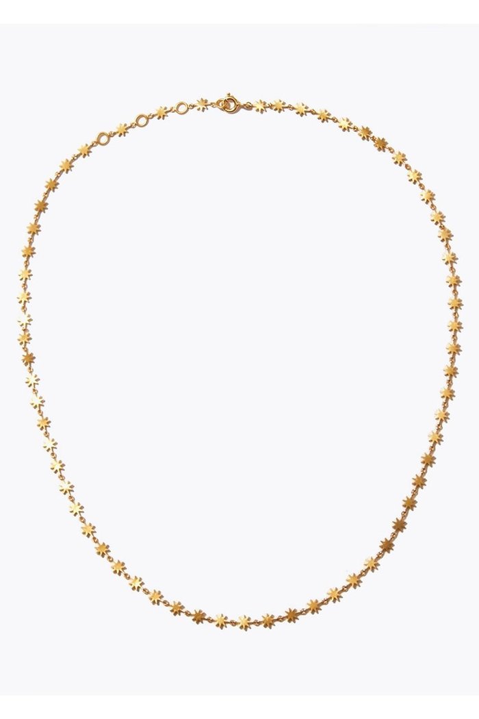 【アルティーダ ウード/ARTIDA OUD】のancient ラクシュミ スター ネックレス インテリア・キッズ・メンズ・レディースファッション・服の通販 founy(ファニー) https://founy.com/ ファッション Fashion レディースファッション Fashion for Women ジュエリー Jewelry ネックレス Necklaces & Pendants インド Indian Textile ネックレス Necklace, Pendant Necklace |ID: prp329100003981327 ipo3291000000035883501