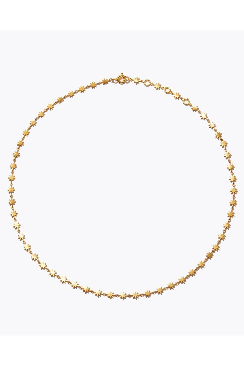 【アルティーダ ウード/ARTIDA OUD】のancient ラクシュミ スター チョーカー インテリア・キッズ・メンズ・レディースファッション・服の通販 founy(ファニー) ファッション Fashion レディースファッション Fashion for Women ジュエリー Jewelry ネックレス Necklaces & Pendants インド Indian Textile ネックレス Necklace, Pendant Necklace ゴールド|ID: prp329100003981335 ipo3291000000035446252