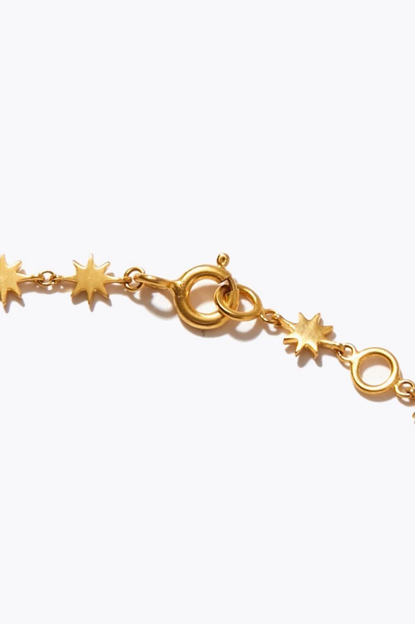 【アルティーダ ウード/ARTIDA OUD】のancient ラクシュミ スター チョーカー 人気、トレンドファッション・服の通販 founy(ファニー) ファッション Fashion レディースファッション Fashion for Women ジュエリー Jewelry ネックレス Necklaces & Pendants インド Indian Textile ネックレス Necklace, Pendant Necklace other-5|ID: prp329100003981335 ipo3291000000035446256