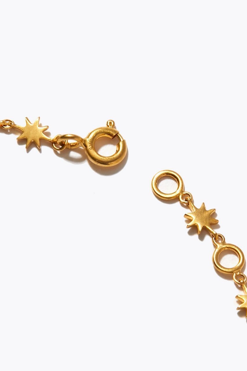 【アルティーダ ウード/ARTIDA OUD】のancient ラクシュミ スター チョーカー 人気、トレンドファッション・服の通販 founy(ファニー) ファッション Fashion レディースファッション Fashion for Women ジュエリー Jewelry ネックレス Necklaces & Pendants インド Indian Textile ネックレス Necklace, Pendant Necklace other-6|ID: prp329100003981335 ipo3291000000035446257