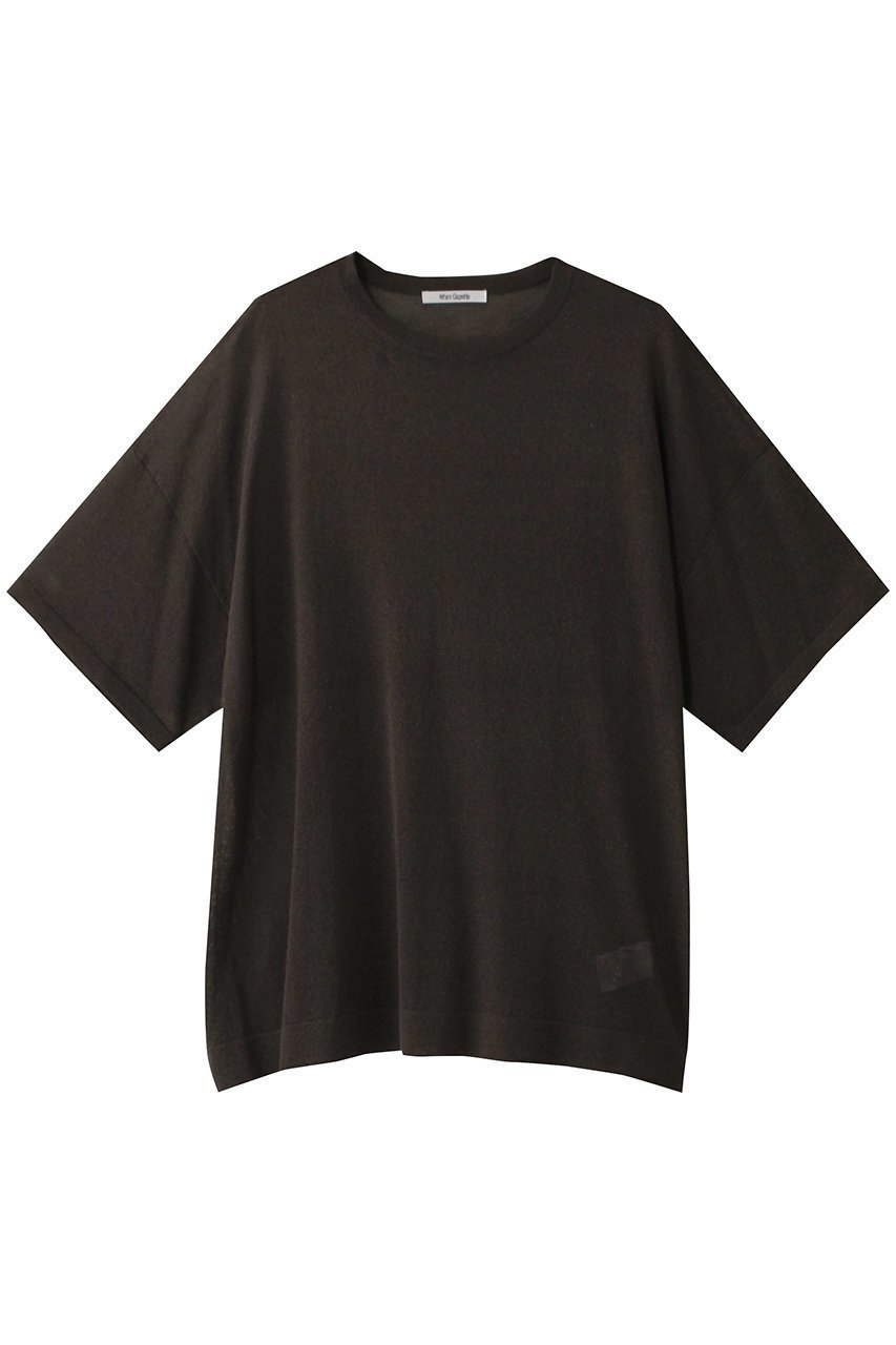 【ウィムガゼット/Whim Gazette】のラメニットTシャツ インテリア・キッズ・メンズ・レディースファッション・服の通販 founy(ファニー) 　ファッション　Fashion　レディースファッション　Fashion for Women　トップス・カットソー　Cut & Sew Tops　ニット　Knit Tops & Sweaters　シャツ・ブラウス・オフィスカジュアル　Elegant Blouses & Button-Ups　ロングTシャツ・Tシャツ　Longline T-Shirts & Tees　カットソー・ベーシックTシャツ　Cut-and-Sewn Tops / Stretch Tees & Basics　インナー　Innerwear　エレガント 上品　Elegant　シアー　Sheer, See-Through　ショート　Short, Short Length　スリーブ　Sleeve, Long Sleeve / Short Sleeve　デニム　Denim, Jeans Material　リラックス　Relax, Relaxed Fit　ダークブラウン|ID: prp329100004007992 ipo3291000000032859727