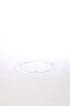 【イッケンドルフ/ICHENDORF / GOODS】のPIUMA ソーサー 人気、トレンドファッション・服の通販 founy(ファニー) ガラス Glass グラス Glass テーブル Table フォルム Form thumbnail -|ID: prp329100004018796 ipo3291000000026648407