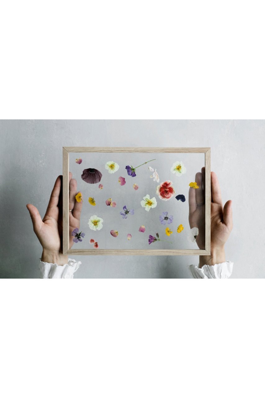 【センプレ/SEMPRE / GOODS】の【MOEBE】フレーム A3 人気、トレンドファッション・服の通販 founy(ファニー) 　アクリル　Acrylic　シンプル　Simple　フレーム　Flame　ラバー　Rubber　再入荷　Restock/Back In Stock/Re Arrival　other-6|ID: prp329100004019440 ipo3291000000032615201