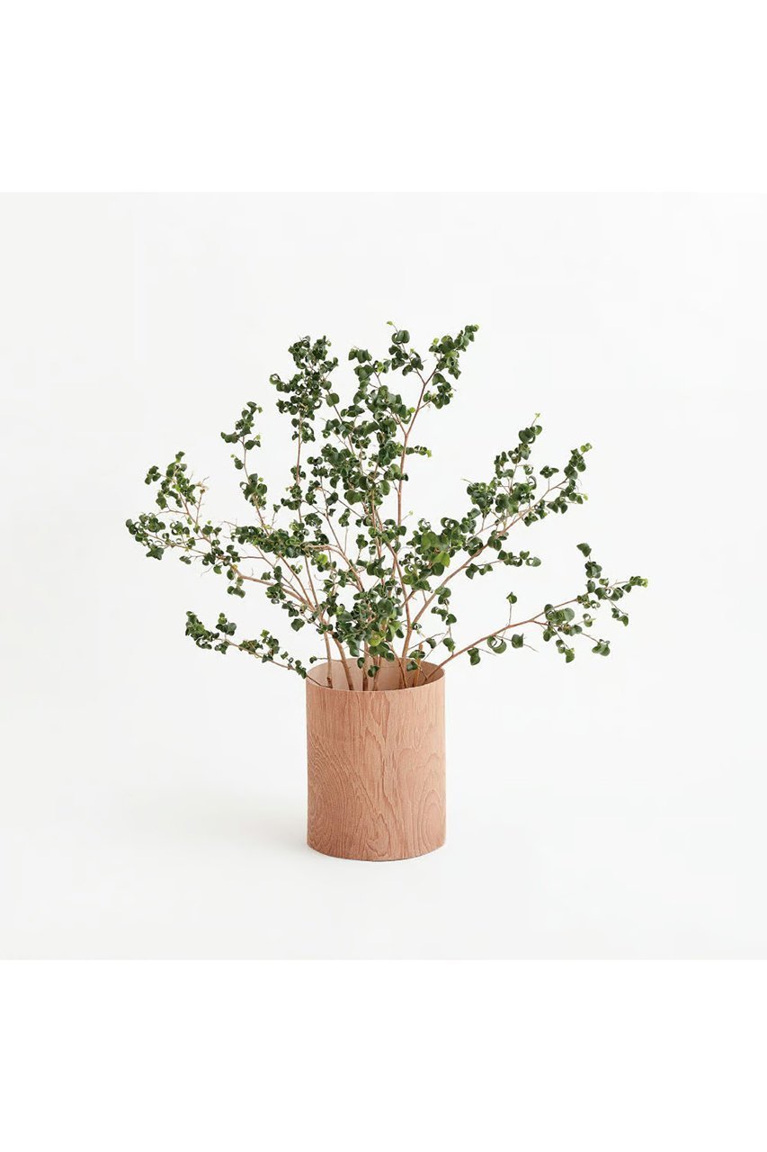 【イロセ/i ro se / GOODS】のPLYWOOD LEATHER TRASH BASKET 人気、トレンドファッション・服の通販 founy(ファニー) 　ウッド　Wooden Design　バスケット　Basket, Basket Bag　ペーパー　Paper, Kraft Paper　ボックス　Boxy, Box Shape　other-7|ID: prp329100004019611 ipo3291000000036176388