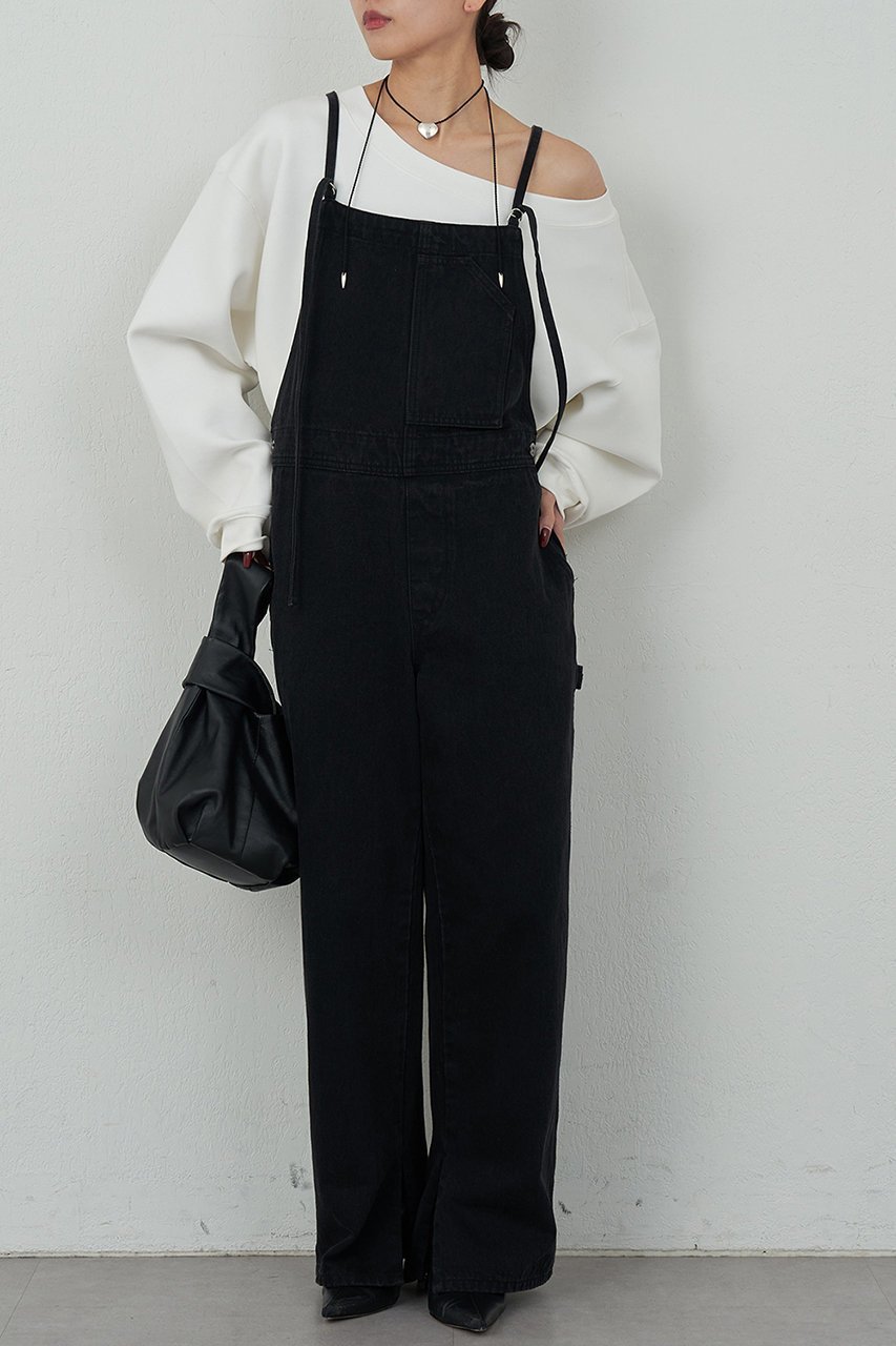 【ガリャルダガランテ/GALLARDAGALANTE】のデニムサロペット 人気、トレンドファッション・服の通販 founy(ファニー) 　ファッション　Fashion　レディースファッション　Fashion for Women　パンツ　Pants & Trousers　ストレート　Straight, Straight Cut　デニム　Denim, Jeans Material　 other-1|ID: prp329100004033376 ipo3291000000036893824