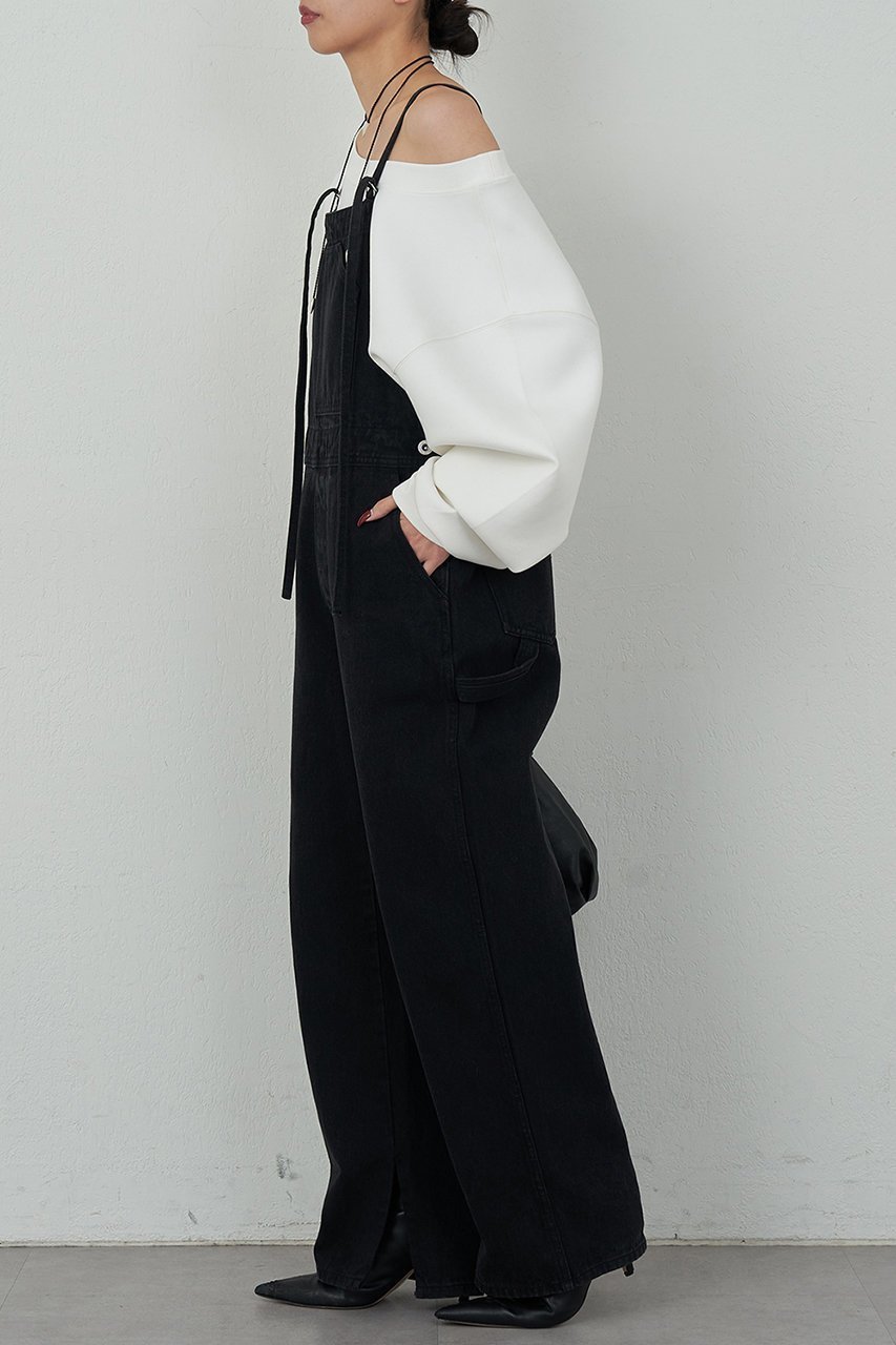 【ガリャルダガランテ/GALLARDAGALANTE】のデニムサロペット 人気、トレンドファッション・服の通販 founy(ファニー) 　ファッション　Fashion　レディースファッション　Fashion for Women　パンツ　Pants & Trousers　ストレート　Straight, Straight Cut　デニム　Denim, Jeans Material　other-3|ID: prp329100004033376 ipo3291000000036893827