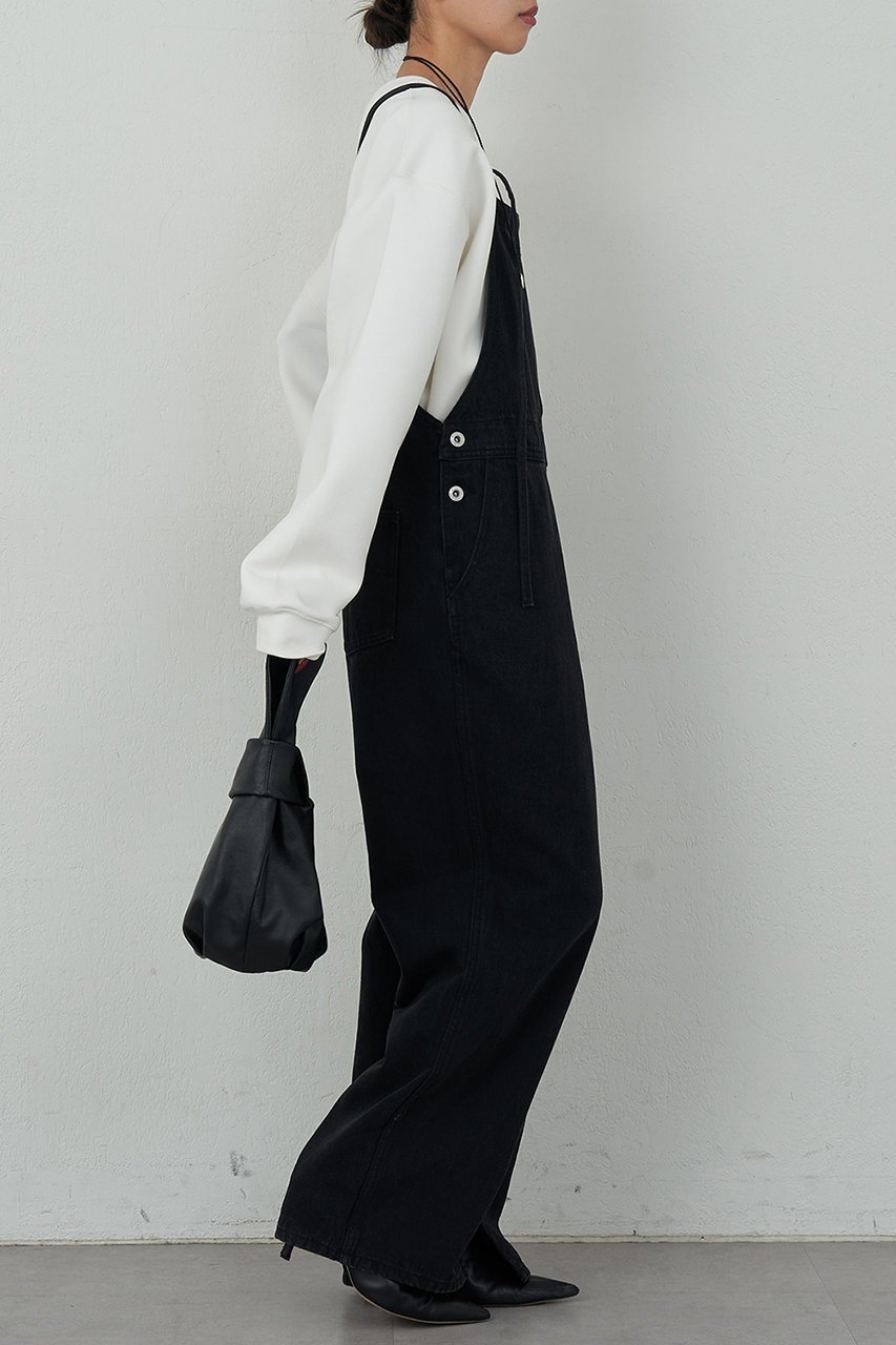 【ガリャルダガランテ/GALLARDAGALANTE】のデニムサロペット 人気、トレンドファッション・服の通販 founy(ファニー) 　ファッション　Fashion　レディースファッション　Fashion for Women　パンツ　Pants & Trousers　ストレート　Straight, Straight Cut　デニム　Denim, Jeans Material　other-4|ID: prp329100004033376 ipo3291000000036893828