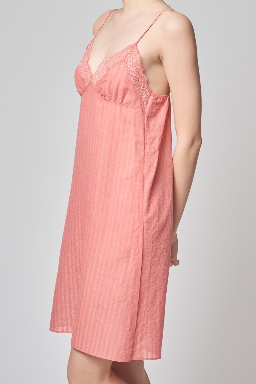 【ランジェリーク/LANGELIQUE】のカプリチョーザ スリップ 人気、トレンドファッション・服の通販 founy(ファニー) 　ファッション　Fashion　レディースファッション　Fashion for Women　ワンピース　Dresses　インナー　Innerwear　ストライプ　Stripe, Striped Pattern　フェミニン　Feminine, Girly　ランジェリー　Lingerie, Intimate Wear　リボン　Ribbon, Bow　レース　Lace, Lace Fabric　エレガント 上品　Elegant　再入荷　Restock / Back in Stock　other-6|ID: prp329100004050695 ipo3291000000035004054