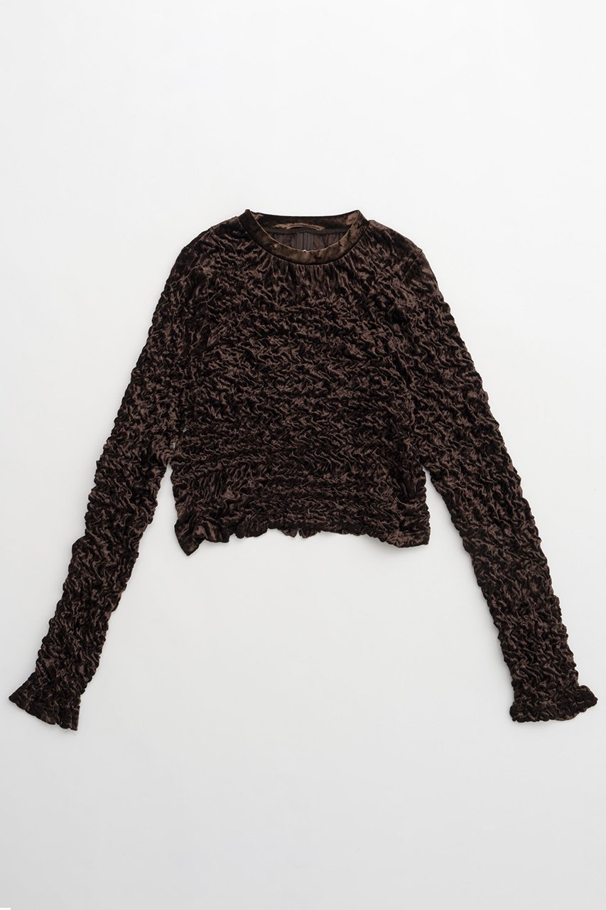 【メゾンスペシャル/MAISON SPECIAL】のShirring Velor Back Zip T-shirt/シャーリングベロアバックジップTシャツ インテリア・キッズ・メンズ・レディースファッション・服の通販 founy(ファニー) 　ファッション　Fashion　レディースファッション　Fashion for Women　トップス・カットソー　Cut & Sew Tops　シャツ・ブラウス・オフィスカジュアル　Elegant Blouses & Button-Ups　ロングTシャツ・Tシャツ　Longline T-Shirts & Tees　カットソー・ベーシックTシャツ　Cut-and-Sewn Tops / Stretch Tees & Basics　ベロアトップス　Velour Tops / Velvet-Look Items　インナー　Innerwear　クラッシュ　Distressed, Crashed Style　コンパクト　Compact, Small Size　シャーリング　Shirring, Ruched　スリット　Slit, Slit Detail　スリーブ　Sleeve, Long Sleeve / Short Sleeve　セットアップ　Set-Up, Coordinated Outfit　デニム　Denim, Jeans Material　ベロア　Velour, Soft Velvet　ロング　Long, Long-Length　おすすめ　Recommended / Our Picks　エレガント 上品　Elegant　BRN(ブラウン)|ID: prp329100004050713 ipo3291000000032916957