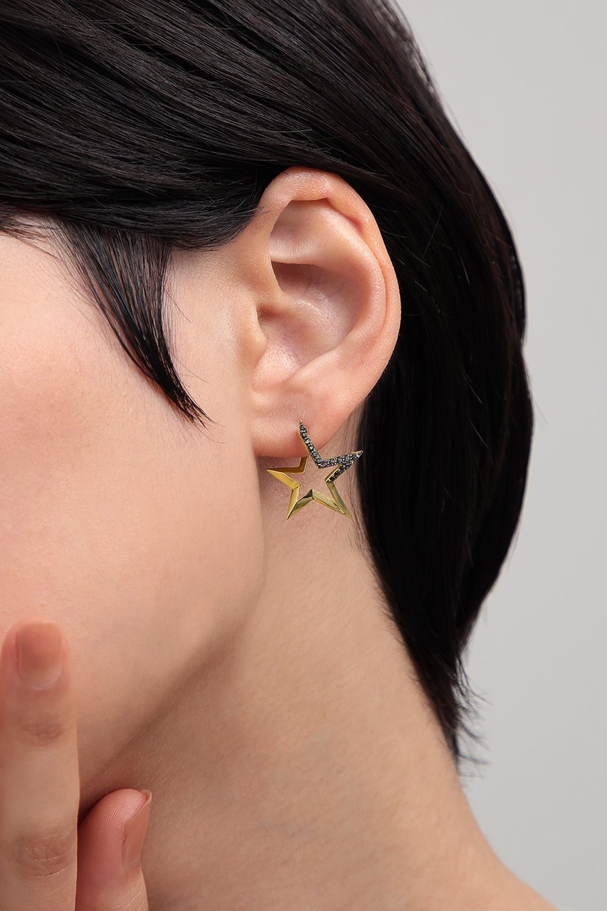 【プラス ヴァンドーム/Plus Vendome】のFINELINETATTOO STAR ピアス 人気、トレンドファッション・服の通販 founy(ファニー) 　ファッション　Fashion　レディースファッション　Fashion for Women　ジュエリー　Jewelry　ファッションリング　Fashion Rings　イヤリング・フープ・ドロップタイプ　Hoop, Drop & Clip Earrings　イヤリング　Earrings　シンプル　Simple, Minimal　スタイリッシュ　Stylish, Fashionable　モダン　Modern, Contemporary　モチーフ　Motif, Design Theme　other-7|ID: prp329100004053734 ipo3291000000032363908