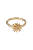 【デイジー ロンドン/DAISY LONDON】のENGLISH DAISY リング 人気、トレンドファッション・服の通販 founy(ファニー) ファッション Fashion レディースファッション Fashion for Women ジュエリー Jewelry シェイプ Shape, Slim Fit シンプル Simple, Minimal ジュエリー Jewelry, Accessories ビンテージ Vintage, Retro Style モチーフ Motif, Design Theme ロンドン London Style, British Inspired 手描き Hand-Drawn, Illustrated thumbnail ゴールド|ID: prp329100004079329 ipo3291000000036177009