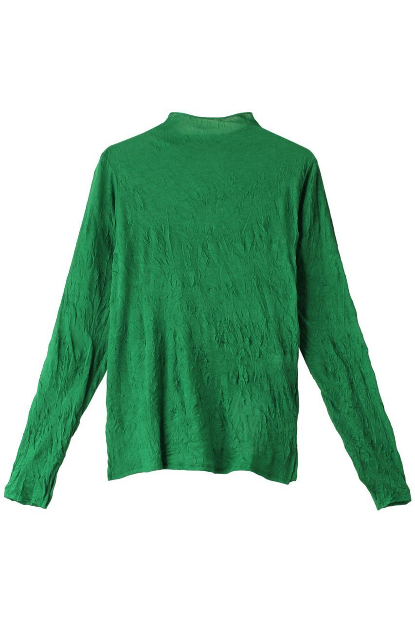 【ミディウミソリッド/MIDIUMISOLID】のsheer high neck innner インナー インテリア・キッズ・メンズ・レディースファッション・服の通販 founy(ファニー) 　ファッション　Fashion　レディースファッション　Fashion for Women　トップス・カットソー　Cut & Sew Tops　シャツ・ブラウス・オフィスカジュアル　Elegant Blouses & Button-Ups　ロングTシャツ・Tシャツ　Longline T-Shirts & Tees　カットソー・ベーシックTシャツ　Cut-and-Sewn Tops / Stretch Tees & Basics　インナー　Innerwear　シンプル　Simple, Minimal　スリーブ　Sleeve, Long Sleeve / Short Sleeve　ハイネック　High Neck, Mock Neck　バランス　Balance, Style Balance　ロング　Long, Long-Length　green|ID: prp329100004084786 ipo3291000000032849097