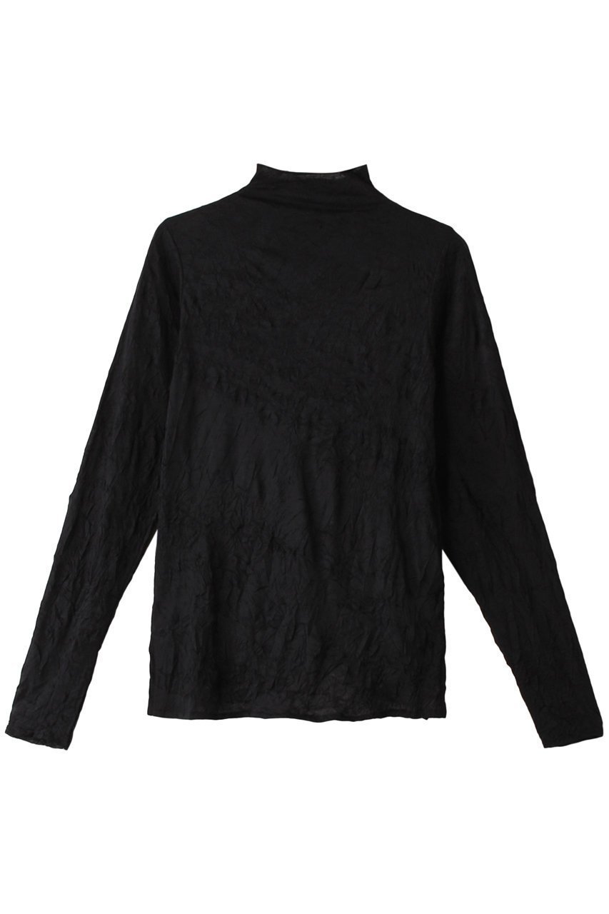 【ミディウミソリッド/MIDIUMISOLID】のsheer high neck innner インナー インテリア・キッズ・メンズ・レディースファッション・服の通販 founy(ファニー) 　ファッション　Fashion　レディースファッション　Fashion for Women　トップス・カットソー　Cut & Sew Tops　シャツ・ブラウス・オフィスカジュアル　Elegant Blouses & Button-Ups　ロングTシャツ・Tシャツ　Longline T-Shirts & Tees　カットソー・ベーシックTシャツ　Cut-and-Sewn Tops / Stretch Tees & Basics　インナー　Innerwear　シンプル　Simple, Minimal　スリーブ　Sleeve, Long Sleeve / Short Sleeve　ハイネック　High Neck, Mock Neck　バランス　Balance, Style Balance　ロング　Long, Long-Length　black|ID: prp329100004084786 ipo3291000000032849109
