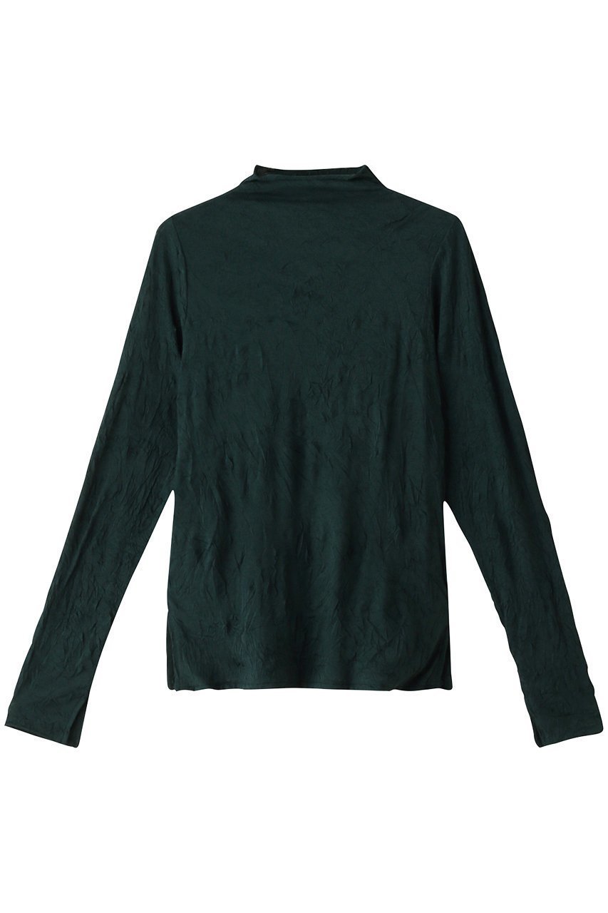 【ミディウミソリッド/MIDIUMISOLID】のsheer high neck innner インナー インテリア・キッズ・メンズ・レディースファッション・服の通販 founy(ファニー) 　ファッション　Fashion　レディースファッション　Fashion for Women　トップス・カットソー　Cut & Sew Tops　シャツ・ブラウス・オフィスカジュアル　Elegant Blouses & Button-Ups　ロングTシャツ・Tシャツ　Longline T-Shirts & Tees　カットソー・ベーシックTシャツ　Cut-and-Sewn Tops / Stretch Tees & Basics　インナー　Innerwear　シンプル　Simple, Minimal　スリーブ　Sleeve, Long Sleeve / Short Sleeve　ハイネック　High Neck, Mock Neck　バランス　Balance, Style Balance　ロング　Long, Long-Length　khaki|ID: prp329100004084786 ipo3291000000032849121