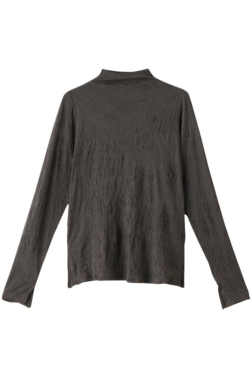 【ミディウミソリッド/MIDIUMISOLID】のsheer high neck innner インナー インテリア・キッズ・メンズ・レディースファッション・服の通販 founy(ファニー) 　ファッション　Fashion　レディースファッション　Fashion for Women　トップス・カットソー　Cut & Sew Tops　シャツ・ブラウス・オフィスカジュアル　Elegant Blouses & Button-Ups　ロングTシャツ・Tシャツ　Longline T-Shirts & Tees　カットソー・ベーシックTシャツ　Cut-and-Sewn Tops / Stretch Tees & Basics　インナー　Innerwear　シンプル　Simple, Minimal　スリーブ　Sleeve, Long Sleeve / Short Sleeve　ハイネック　High Neck, Mock Neck　バランス　Balance, Style Balance　ロング　Long, Long-Length　c.gray|ID: prp329100004084786 ipo3291000000032849134
