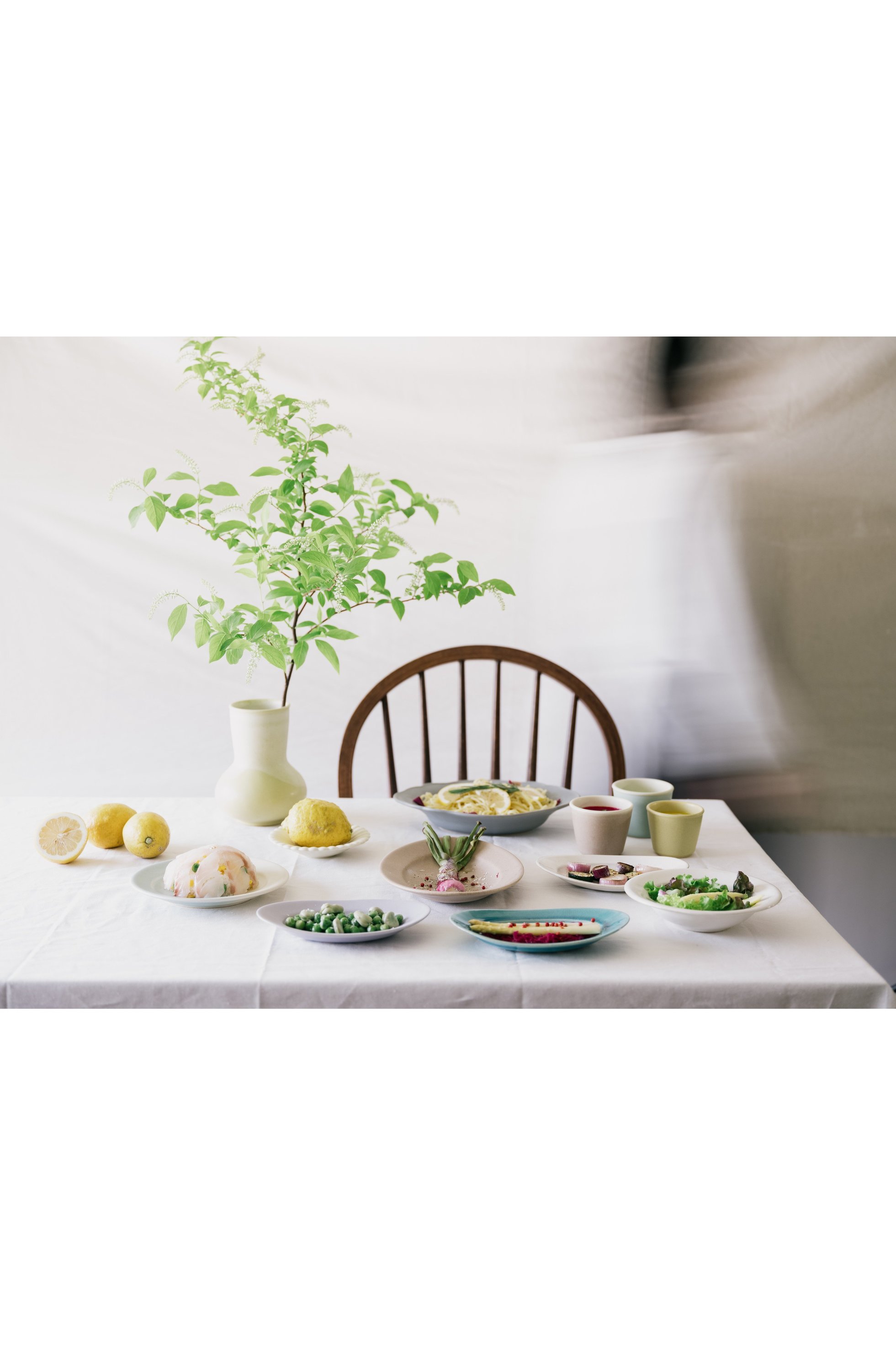 【あわびウェア/Awabi ware / GOODS】の輪花中深皿 人気、トレンドファッション・服の通販 founy(ファニー) 　吸水　Absorbent, Quick-Dry　皿　Plate, Dish　テーブル　Table, Dining Table　フォルム　Silhouette, Form　ギフト プレゼント　Gift / Present　ホーム・キャンプ・アウトドア・お取り寄せ　Home Living / Home & Lifestyle / Camping Gear / Outdoor Camping　キッチン・ダイニング　Kitchen & Dining Essentials. Stylish & Functional Tableware　キッチン家電・キッチン用品　Kitchen Appliances & Tools　other-5|ID: prp329100004091397 ipo3291000000035415742