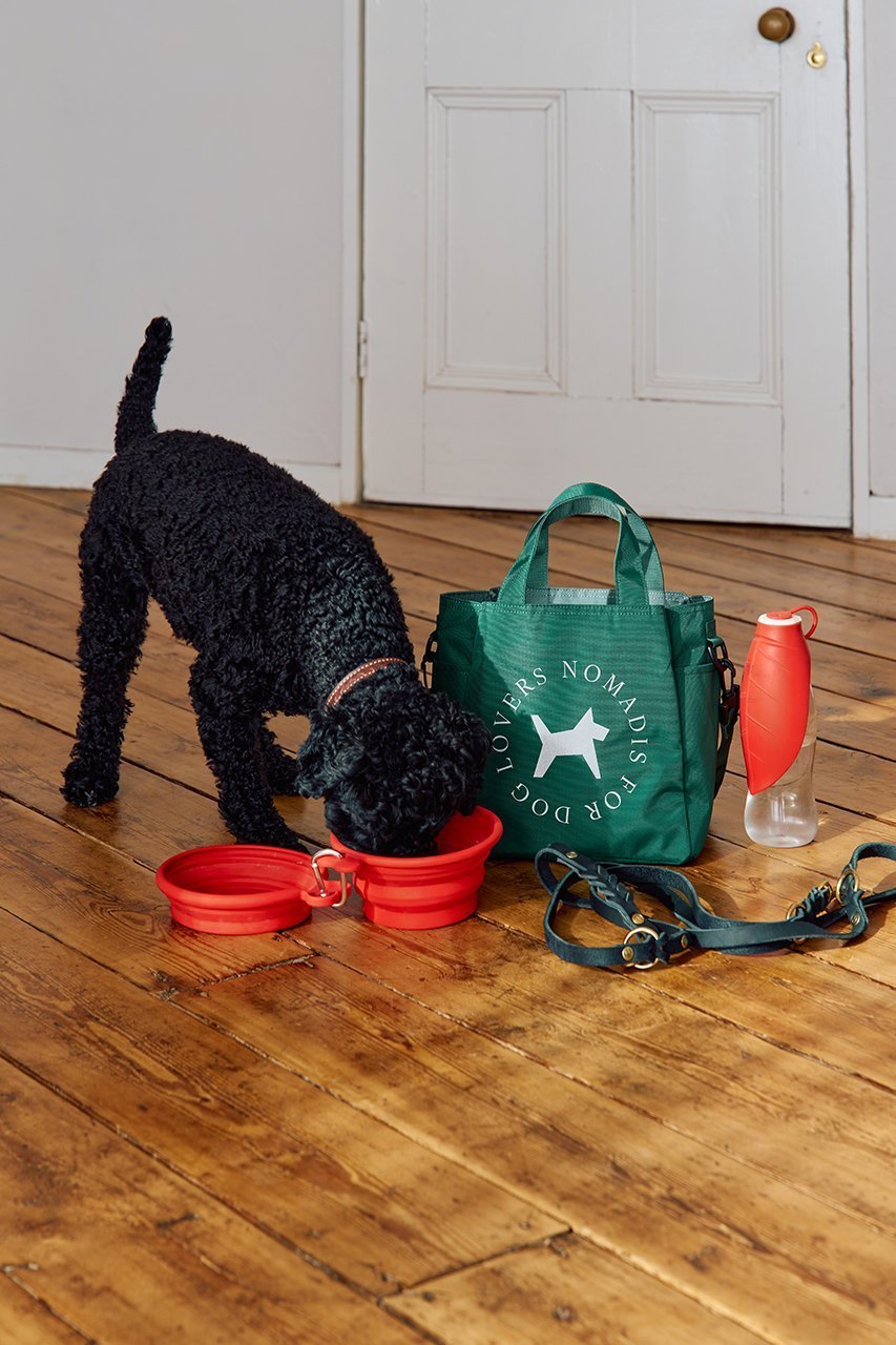 【ノマディス/NOMADIS】のDOGGY S SAC 2wayトートバッグ 人気、トレンドファッション・服の通販 founy(ファニー) 　ファッション　Fashion　レディースファッション　Fashion for Women　バッグ　Bags　ユニセックス　Unisex, Genderless　サークル　Circle, Round Design　フロント　Front, Front Design　ポケット　Pocket, Pocket Detail　今季　This Season, Current Season　other-7|ID: prp329100004105674 ipo3291000000032792346
