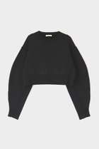 【ル フィル/LE PHIL】のクロップドフォルムニット 人気、トレンドファッション・服の通販 founy(ファニー) ファッション Fashion レディースファッション WOMEN トップス・カットソー Tops/Tshirt ニット Knit Tops プルオーバー Pullover おすすめ Recommend コンパクト Compact ショート Short バランス Balance ミックス Mix thumbnail ブラック|ID: prp329100004111931 ipo3291000000028001418