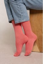 【ブルーフォレ/BLEUFORET】の6095 ソリッドカラー ウールソックス 人気、トレンドファッション・服の通販 founy(ファニー) ファッション Fashion レディースファッション Fashion for Women ソックス&靴下 Socks & Hosiery レッグウェア・ストッキング Legwear & Hosiery スニーカー Sneakers, Trainers ソックス Socks, Hosiery 定番 Standard, Basic Item thumbnail アプリコット|ID: prp329100004112984 ipo3291000000034387305