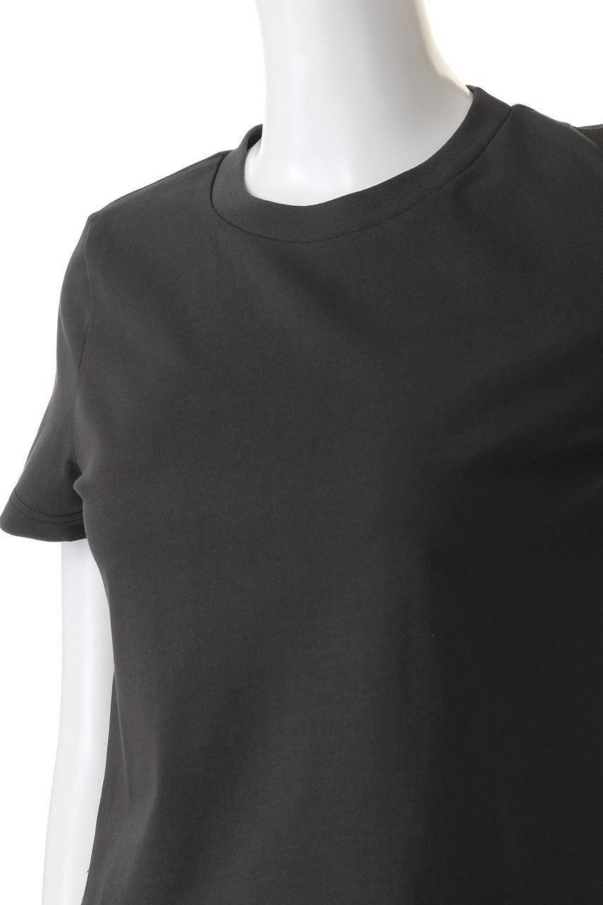 【ミディウミソリッド/MIDIUMISOLID】のcropped tee Tシャツ 人気、トレンドファッション・服の通販 founy(ファニー) 　ファッション　Fashion　レディースファッション　WOMEN　トップス・カットソー　Tops/Tshirt　シャツ/ブラウス　Shirts/Blouses　ロング / Tシャツ　T-Shirts　カットソー　Cut and Sewn　おすすめ　Recommend　クロップド　Cropped　コンパクト　Compact　ショート　Short　シンプル　Simple　スリーブ　Sleeve　バランス　Balance　ベーシック　Basic　リラックス　Relax　other-5|ID: prp329100004116814 ipo3291000000031409759
