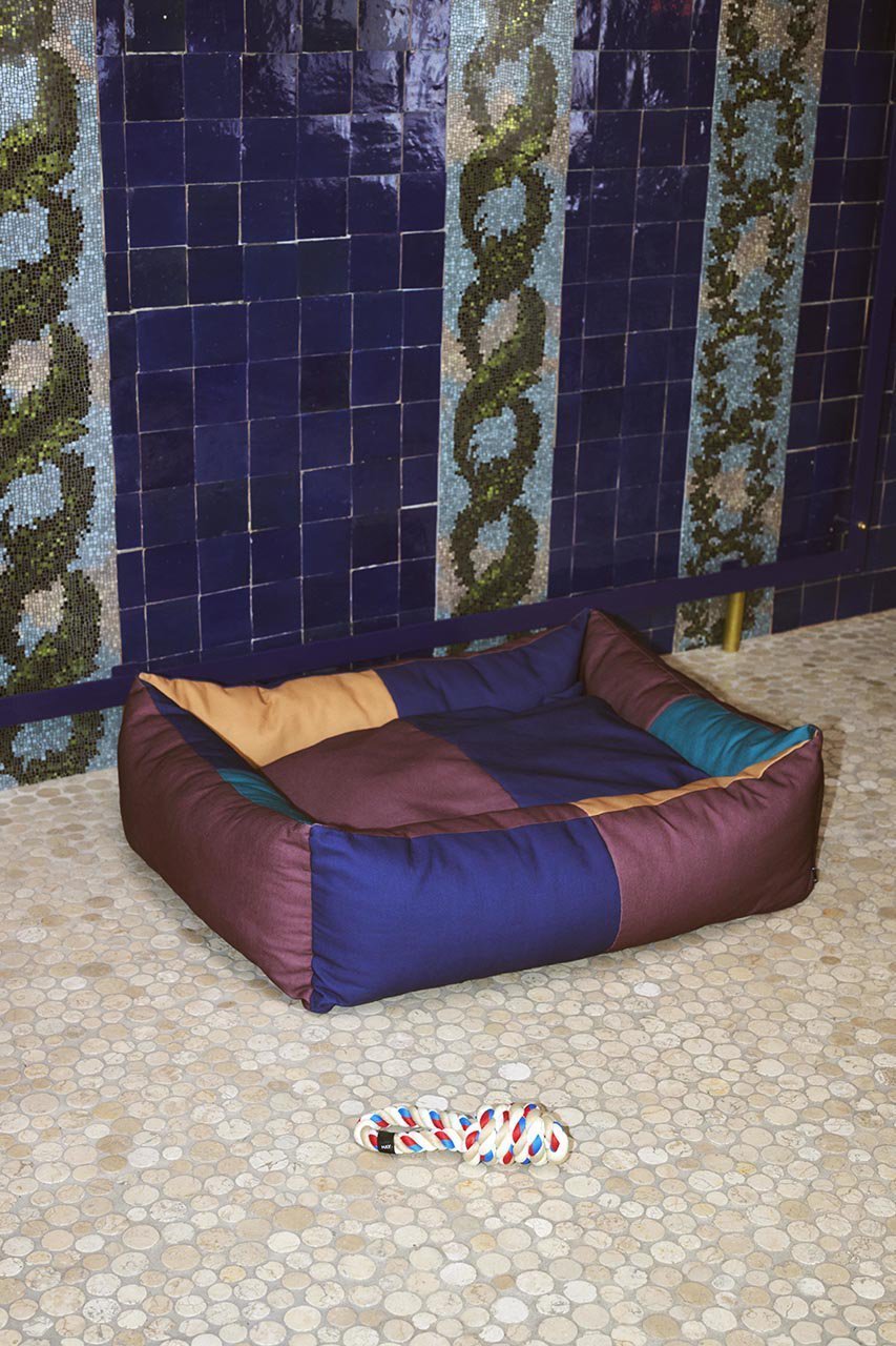 【ヘイ/HAY / GOODS】のHAY DOGS ROPE TOY 人気、トレンドファッション・服の通販 founy(ファニー) 　アクセサリー　Accessories　カラフル　Colorful　コレクション　Collection　犬　Dog　ホーム・キャンプ・アウトドア・お取り寄せ　Home,Garden,Outdoor,Camping Gear　ペットグッズ　Pet Supplies　other-2|ID: prp329100004123327 ipo3291000000031407829