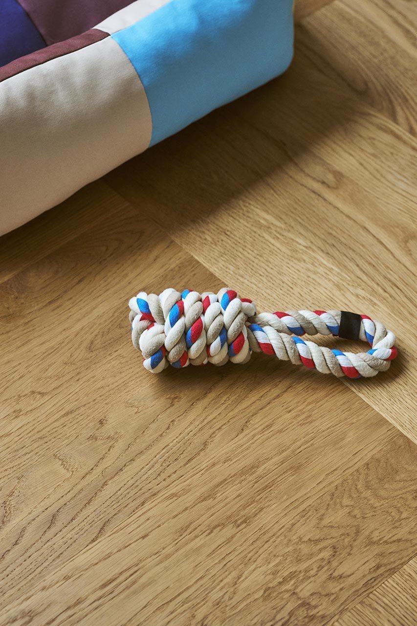 【ヘイ/HAY / GOODS】のHAY DOGS ROPE TOY 人気、トレンドファッション・服の通販 founy(ファニー) 　アクセサリー　Accessories　カラフル　Colorful　コレクション　Collection　犬　Dog　ホーム・キャンプ・アウトドア・お取り寄せ　Home,Garden,Outdoor,Camping Gear　ペットグッズ　Pet Supplies　other-3|ID: prp329100004123327 ipo3291000000031407831
