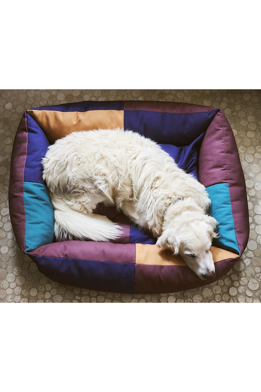 【ヘイ/HAY / GOODS】のHAY DOGS BED L 人気、トレンドファッション・服の通販 founy(ファニー) 　アクセサリー　Accessories　カラフル　Colorful　クッション　Cushion　ブロッキング　Blocking　犬　Dog　ホーム・キャンプ・アウトドア・お取り寄せ　Home,Garden,Outdoor,Camping Gear　ペットグッズ　Pet Supplies　other-3|ID: prp329100004123328 ipo3291000000031407841
