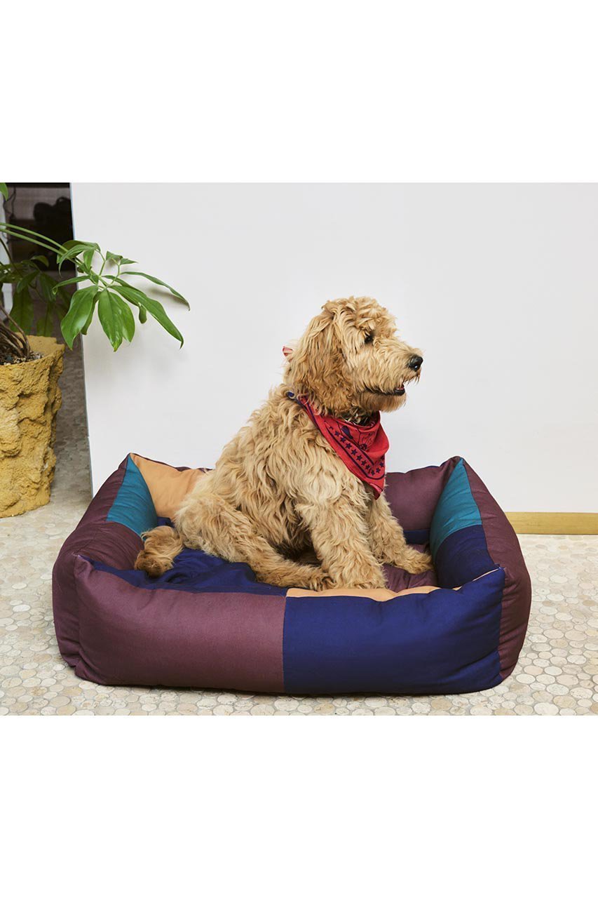 【ヘイ/HAY / GOODS】のHAY DOGS BED L 人気、トレンドファッション・服の通販 founy(ファニー) 　アクセサリー　Accessories　カラフル　Colorful　クッション　Cushion　ブロッキング　Blocking　犬　Dog　ホーム・キャンプ・アウトドア・お取り寄せ　Home,Garden,Outdoor,Camping Gear　ペットグッズ　Pet Supplies　other-5|ID: prp329100004123328 ipo3291000000031407845