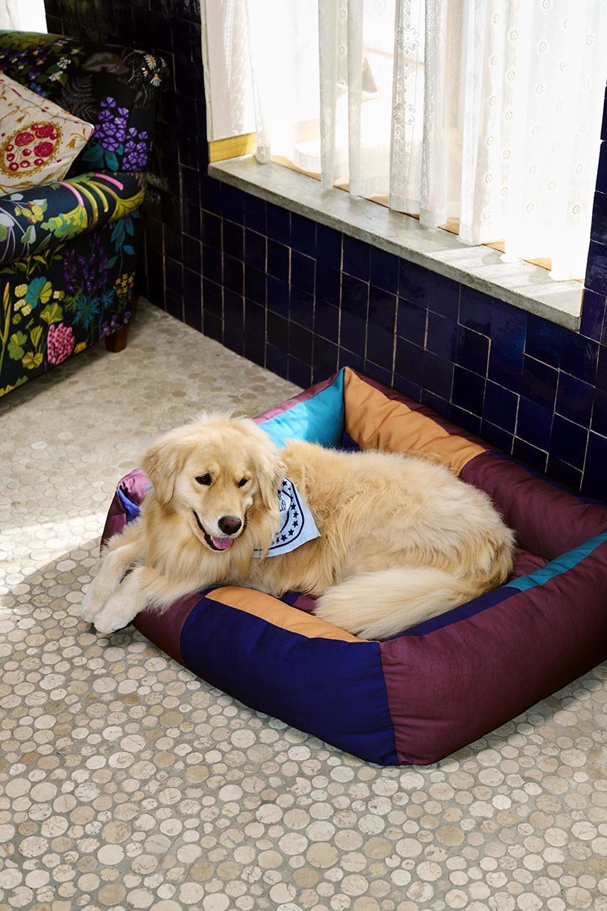 【ヘイ/HAY / GOODS】のHAY DOGS BED L 人気、トレンドファッション・服の通販 founy(ファニー) 　アクセサリー　Accessories　カラフル　Colorful　クッション　Cushion　ブロッキング　Blocking　犬　Dog　ホーム・キャンプ・アウトドア・お取り寄せ　Home,Garden,Outdoor,Camping Gear　ペットグッズ　Pet Supplies　other-6|ID: prp329100004123328 ipo3291000000031407847