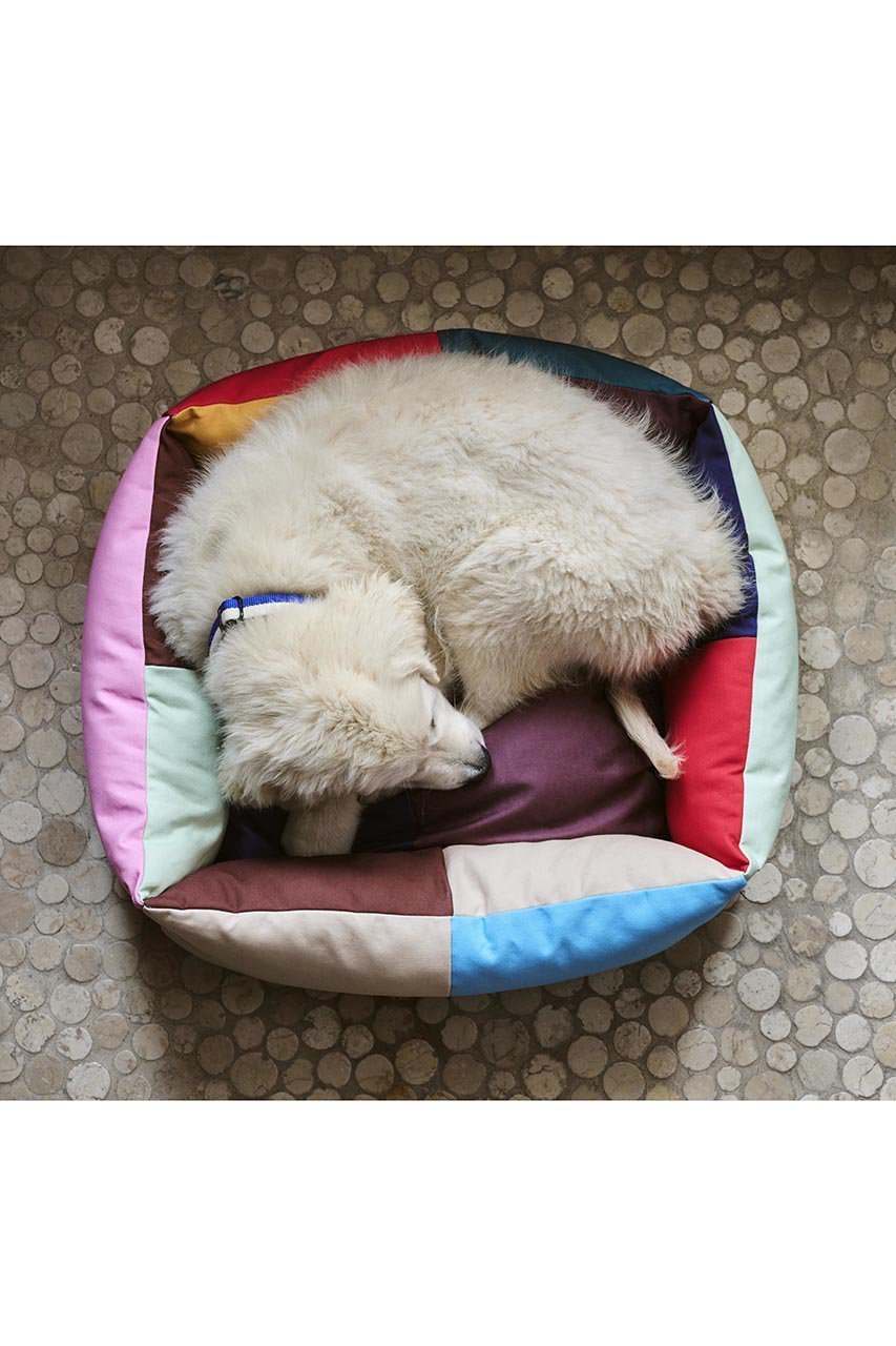 【ヘイ/HAY / GOODS】のHAY DOGS BED S 人気、トレンドファッション・服の通販 founy(ファニー) 　アクセサリー　Fashion Accessories　カラフル　Colorful Design　クッション　Cushion, Throw Pillow　ブロッキング　Color Blocking, Panel Design　犬　Dog　ホーム・キャンプ・アウトドア・お取り寄せ　Home Living / Home & Lifestyle / Camping Gear / Outdoor Camping　ペットグッズ　Pet Supplies　other-3|ID: prp329100004123330 ipo3291000000031407863