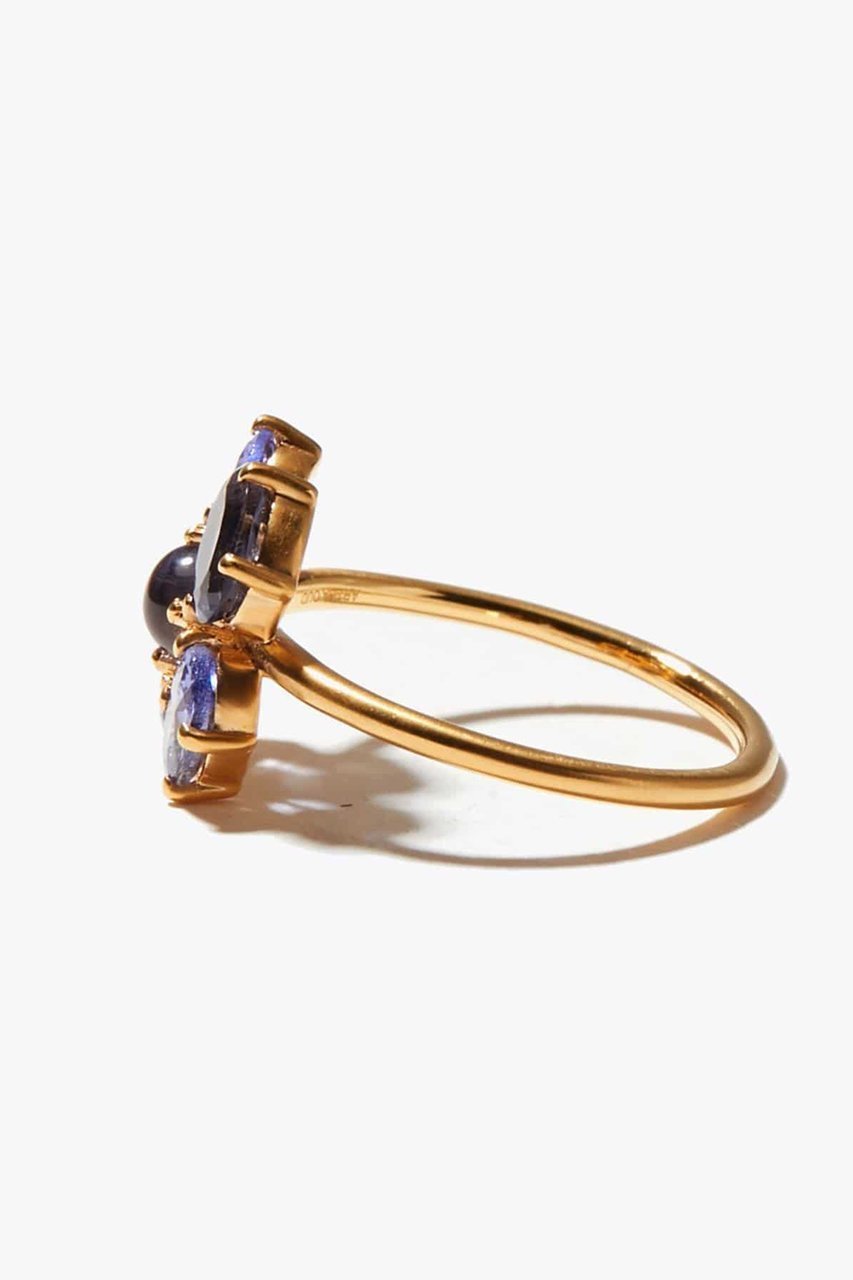 【アルティーダ ウード/ARTIDA OUD】のeden タンザナイト アイオライト ポピー リング 人気、トレンドファッション・服の通販 founy(ファニー) ファッション Fashion レディースファッション Fashion for Women 再入荷 Restock / Back in Stock other-4|ID: prp329100004123340 ipo3291000000035945171