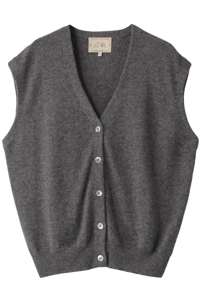 【デミーリー/DEMYLEE】のBOLT カシミヤ Vネックニットベスト インテリア・キッズ・メンズ・レディースファッション・服の通販 founy(ファニー) https://founy.com/ ファッション Fashion レディースファッション Fashion for Women トップス・カットソー Cut & Sew Tops ニット Knit Tops & Sweaters カーディガン・羽織り Layered Style Cardigans ベスト&ジレ / 重ね着スタイル Vests & Gilets Vネックトップス V-Neck Tops / V-Cut Neckline Shirts カーディガン Cardigan, Knitwear ベスト Vest, Waistcoat 再入荷 Restock / Back in Stock 定番 Standard, Basic Item |ID: prp329100004131686 ipo3291000000036098599
