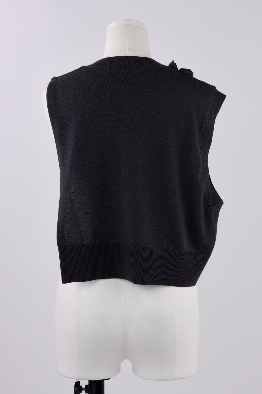 【エンフォルド/ENFOLD】のフリルニットベスト 人気、トレンドファッション・服の通販 founy(ファニー) 　ファッション　Fashion　レディースファッション　Fashion for Women　トップス・カットソー　Cut & Sew Tops　ニット　Knit Tops & Sweaters　ベスト&ジレ / 重ね着スタイル　Vests & Gilets　カジュアルプルオーバー・ニットトップス　Pullovers & Knit Tops / Casual Pullovers　インナー　Innerwear　ベスト　Vest, Waistcoat　other-3|ID: prp329100004141232 ipo3291000000032924807