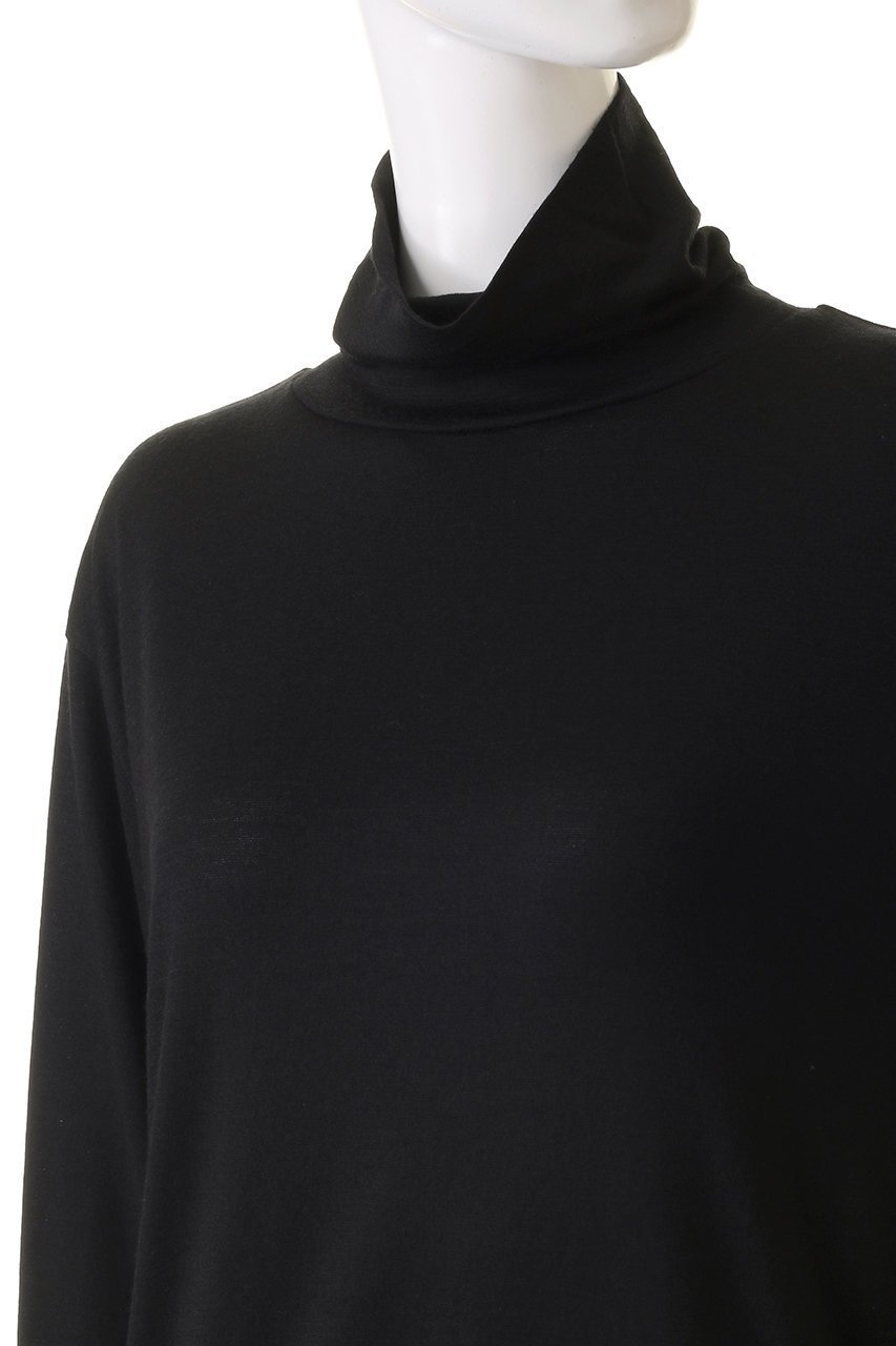 【スローン/SLOANE】の【UNISEX】ウール天竺 タートルネック長袖ニットTシャツ 人気、トレンドファッション・服の通販 founy(ファニー) 　ファッション　Fashion　レディースファッション　Fashion for Women　トップス・カットソー　Cut & Sew Tops　ニット　Knit Tops & Sweaters　シャツ・ブラウス・オフィスカジュアル　Elegant Blouses & Button-Ups　ロングTシャツ・Tシャツ　Longline T-Shirts & Tees　カットソー・ベーシックTシャツ　Cut-and-Sewn Tops / Stretch Tees & Basics　タートルネック・ハイネックトップス　Turtlenecks & High-Neck Tops　ユニセックス　Unisex, Genderless　スリーブ　Sleeve, Long Sleeve / Short Sleeve　タートルネック　Turtleneck, High Neck　ベーシック　Basic, Essential　ボトム　Bottoms, Lower Wear　ロング　Long, Long-Length　定番　Standard, Basic Item　長袖　Long Sleeve, Full Sleeve　other-5|ID: prp329100004153074 ipo3291000000032897739