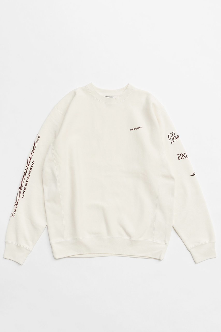 【メゾンスペシャル/MAISON SPECIAL】のOversize Sweatshirt/オーバーサイズスウェット インテリア・キッズ・メンズ・レディースファッション・服の通販 founy(ファニー) 　ファッション　Fashion　レディースファッション　Fashion for Women　トップス・カットソー　Cut & Sew Tops　シャツ・ブラウス・オフィスカジュアル　Elegant Blouses & Button-Ups　レディースパーカー・カジュアルフーディー　Casual Hoodies & Sweatshirts　ロングTシャツ・Tシャツ　Longline T-Shirts & Tees　スウェット・クルーネックトップス　Sweatshirts & Crewnecks / Relaxed Fit Sweat Tops　カットソー・ベーシックTシャツ　Cut-and-Sewn Tops / Stretch Tees & Basics　カットソー　Cut and Sewn Top　グラフィック　Graphic, Graphic Design　ショート　Short, Short Length　フレア　Flare, Flared　プリント　Print, Printed Pattern　ロング　Long, Long-Length　WHT(ホワイト)|ID: prp329100004158423 ipo3291000000032895897