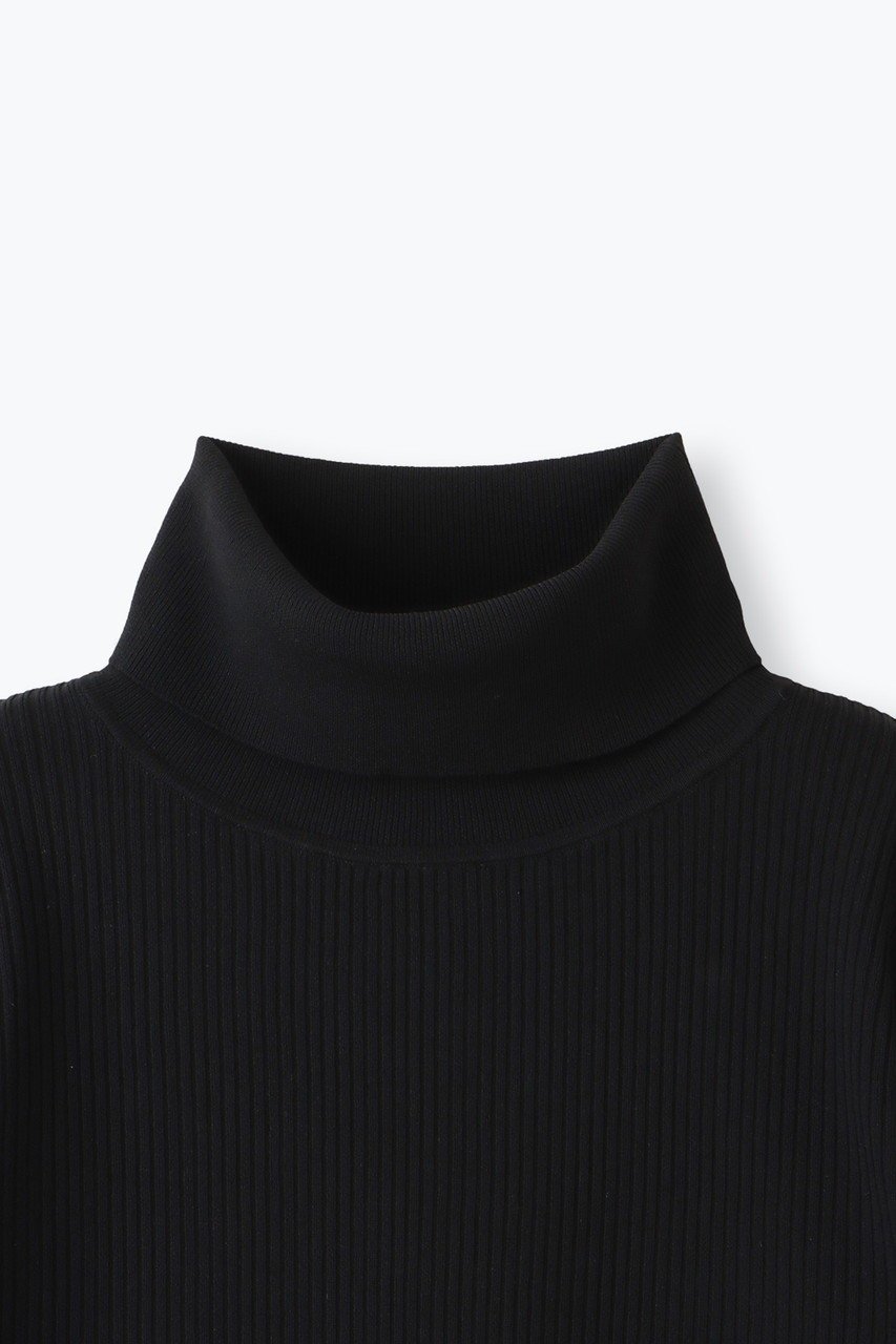 【レリル/lelill】のハイテクリブタートル 人気、トレンドファッション・服の通販 founy(ファニー) 　ファッション　Fashion　レディースファッション　Fashion for Women　トップス・カットソー　Cut & Sew Tops　ニット　Knit Tops & Sweaters　カジュアルプルオーバー・ニットトップス　Pullovers & Knit Tops / Casual Pullovers　タートル　Turtleneck, Turtle Collar　人気　Popular, Best Seller　other-3|ID: prp329100004159650 ipo3291000000032950926