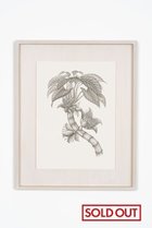【アルトテック/ARTOTHEQUE】の【則松 夏凜】ミアクンバの植物(ダノホウジュ) -|ID: prp329100004161125 ipo3291000000033665880