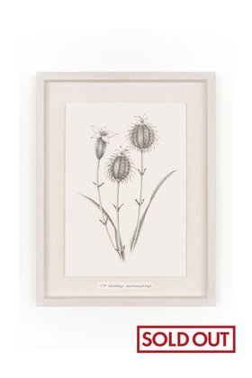 【アートオテーク/ARTOTHEQUE / GOODS】の【則松 夏凜】未来草案(ノイガ) 人気、トレンドファッション・服の通販 founy(ファニー) セーター Sweater, Knitwear フォルム Silhouette, Form メンズ Men's, Menswear モチーフ Motif, Design Theme 冬 Winter / This Winter 夏 Summer |ID:prp329100004161127