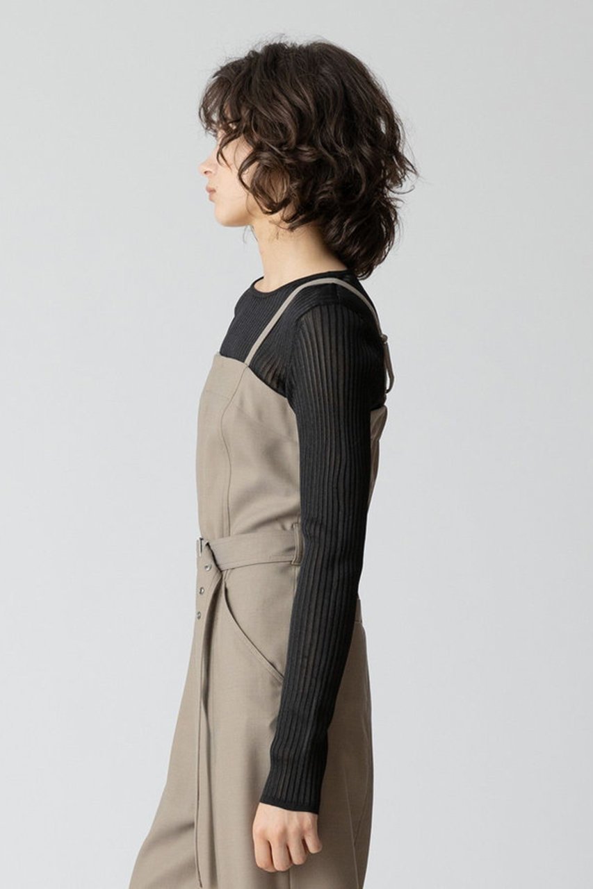 【アルアバイル/allureville】のソフトシアーリブプルオーバー 人気、トレンドファッション・服の通販 founy(ファニー) ファッション Fashion レディースファッション Fashion for Women トップス・カットソー Cut & Sew Tops ニット Knit Tops & Sweaters カジュアルプルオーバー・ニットトップス Pullovers & Knit Tops / Casual Pullovers おすすめ Recommended / Our Picks シアー Sheer, See-Through シンプル Simple, Minimal other-6|ID: prp329100004164054 ipo3291000000032924246