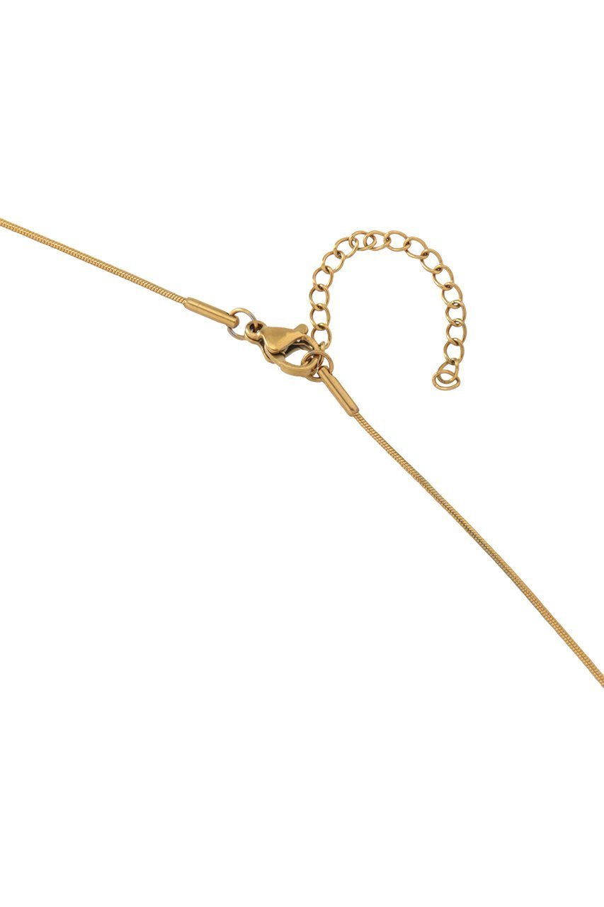 【スタニングルアー/STUNNING LURE】の【MERAKI】ネックレス 人気、トレンドファッション・服の通販 founy(ファニー) 　ファッション　Fashion　レディースファッション　Fashion for Women　ジュエリー　Jewelry　ネックレス　Necklaces & Pendants　オケージョン　Occasion Wear　チェーン　Chain, Chain Strap　ネックレス　Necklace, Pendant Necklace　パーティ　Party, Party Style　モチーフ　Motif, Design Theme　リュクス　Luxury, Elegant, High-End, Chic　新作・新入荷　New Arrivals / New In　other-4|ID: prp329100004173230 ipo3291000000035229099