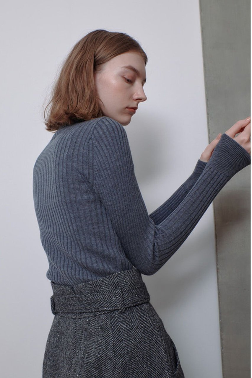 【アルアバイル/allureville】の2WAY NCリブタートル 人気、トレンドファッション・服の通販 founy(ファニー) 　ファッション　Fashion　レディースファッション　Fashion for Women　トップス・カットソー　Cut & Sew Tops　ニット　Knit Tops & Sweaters　カジュアルプルオーバー・ニットトップス　Pullovers & Knit Tops / Casual Pullovers　インナー　Innerwear　タートル　Turtleneck, Turtle Collar　タートルネック　Turtleneck, High Neck　フィット　Fit, Slim Fit　フォルム　Silhouette, Form　メタル　Metal, Metal Parts　定番　Standard, Basic Item　other-6|ID: prp329100004190885 ipo3291000000032964956