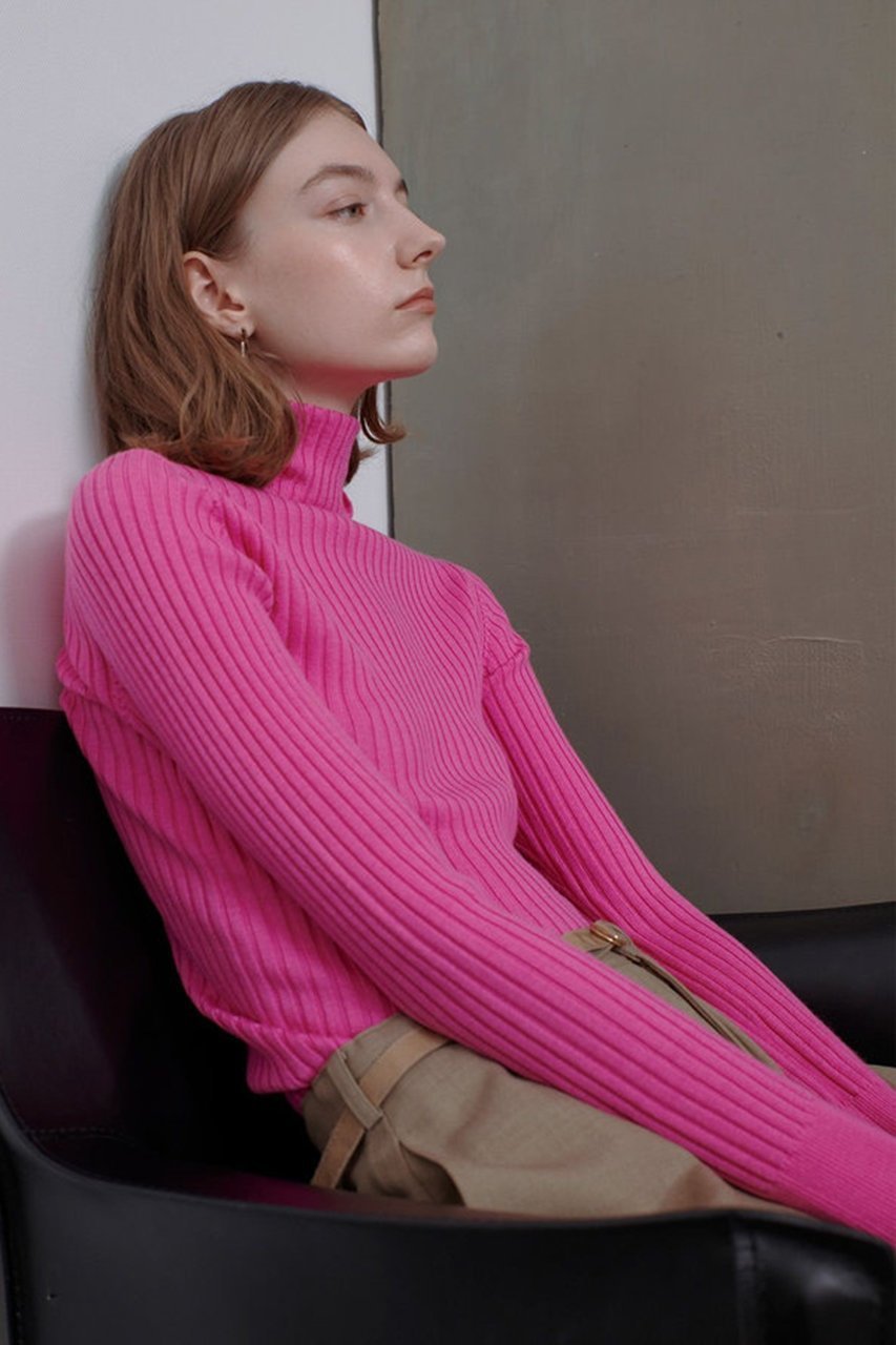 【アルアバイル/allureville】の2WAY NCリブタートル 人気、トレンドファッション・服の通販 founy(ファニー) 　ファッション　Fashion　レディースファッション　Fashion for Women　トップス・カットソー　Cut & Sew Tops　ニット　Knit Tops & Sweaters　カジュアルプルオーバー・ニットトップス　Pullovers & Knit Tops / Casual Pullovers　インナー　Innerwear　タートル　Turtleneck, Turtle Collar　タートルネック　Turtleneck, High Neck　フィット　Fit, Slim Fit　フォルム　Silhouette, Form　メタル　Metal, Metal Parts　定番　Standard, Basic Item　other-7|ID: prp329100004190885 ipo3291000000036524028