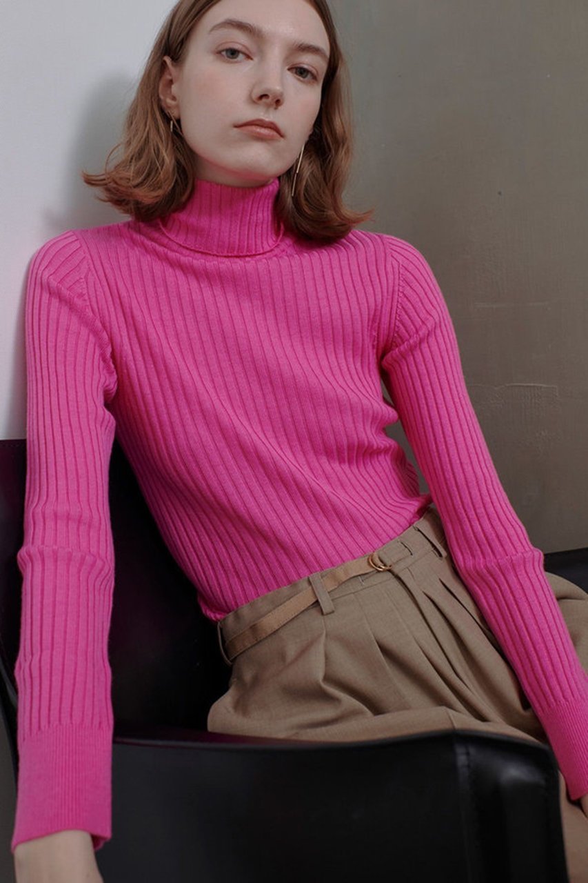 【アルアバイル/allureville】の2WAY NCリブタートル 人気、トレンドファッション・服の通販 founy(ファニー) 　ファッション　Fashion　レディースファッション　Fashion for Women　トップス・カットソー　Cut & Sew Tops　ニット　Knit Tops & Sweaters　カジュアルプルオーバー・ニットトップス　Pullovers & Knit Tops / Casual Pullovers　インナー　Innerwear　タートル　Turtleneck, Turtle Collar　タートルネック　Turtleneck, High Neck　フィット　Fit, Slim Fit　フォルム　Silhouette, Form　メタル　Metal, Metal Parts　定番　Standard, Basic Item　other-8|ID: prp329100004190885 ipo3291000000036524029