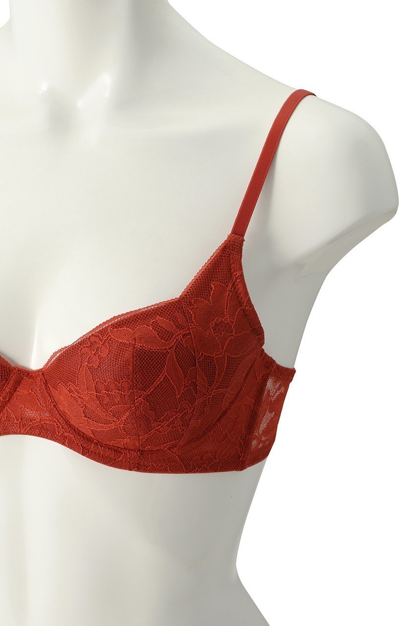 【ランジェリーク/LANGELIQUE】のシダーデ 3/4カップブラ(Dカップ以上) 人気、トレンドファッション・服の通販 founy(ファニー) 　ファッション　Fashion　レディースファッション　Fashion for Women　下着・ランジェリー　Lingerie & Intimates　その他ランジェリー・インナーアイテム　Other Lingerie / Intimates　シンプル　Simple, Minimal　フォルム　Silhouette, Form　ブラジャー　Bra, Lingerie　ランジェリー　Lingerie, Intimate Wear　レース　Lace, Lace Fabric　エレガント 上品　Elegant　other-5|ID: prp329100004204055 ipo3291000000035395972