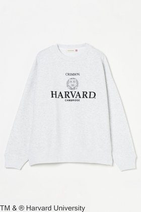 【エリオポール/heliopole】の【GOOD ROCK SPEED】HARVARD CN スウェット 人気、トレンドファッション・服の通販 founy(ファニー) ファッション Fashion レディースファッション WOMEN トップス・カットソー Tops/Tshirt シャツ/ブラウス Shirts/Blouses パーカ Sweats ロング / Tシャツ T-Shirts スウェット Sweat カットソー Cut and Sewn スウェット Sweat バランス Balance ルーズ Loose NEW・新作・新着・新入荷 New Arrivals |ID:prp329100004207090