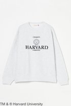 【エリオポール/heliopole】の【GOOD ROCK SPEED】HARVARD CN スウェット 人気、トレンドファッション・服の通販 founy(ファニー) ファッション Fashion レディースファッション WOMEN トップス・カットソー Tops/Tshirt シャツ/ブラウス Shirts/Blouses パーカ Sweats ロング / Tシャツ T-Shirts スウェット Sweat カットソー Cut and Sewn スウェット Sweat バランス Balance ルーズ Loose NEW・新作・新着・新入荷 New Arrivals thumbnail ライトグレー|ID: prp329100004207090 ipo3291000000029152804