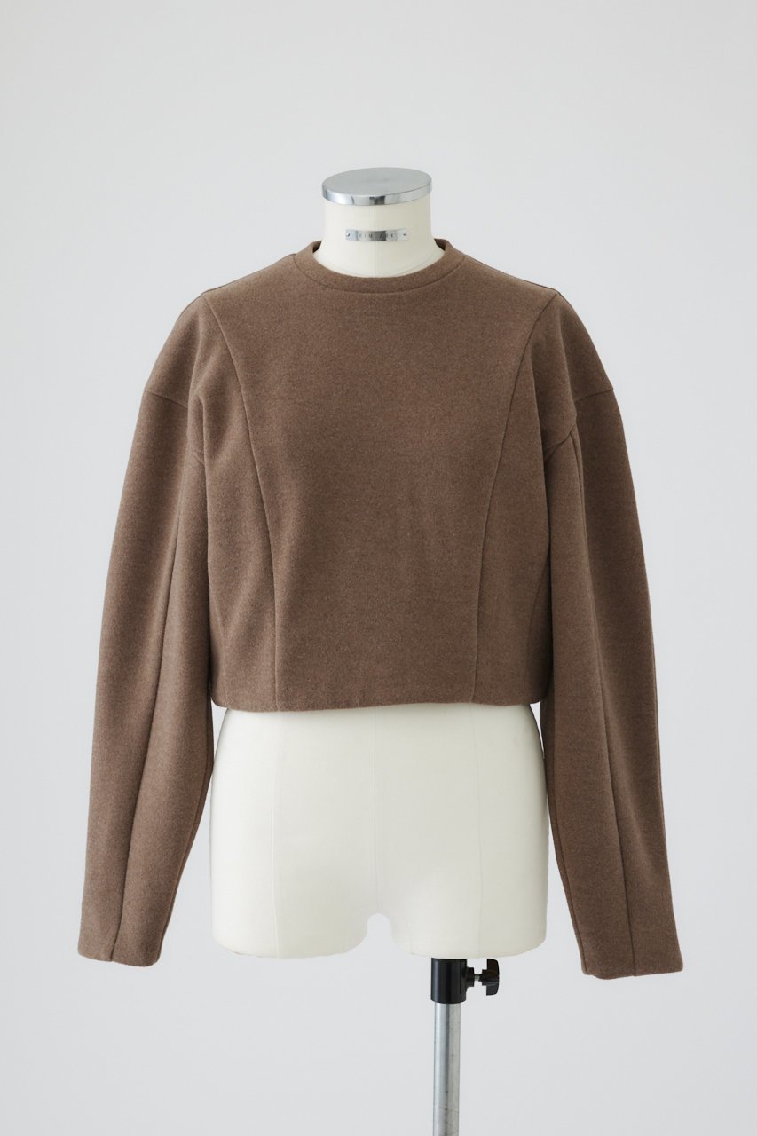 【リムアーク/RIM.ARK】のWarming jersey cropped PO/プルオーバー インテリア・キッズ・メンズ・レディースファッション・服の通販 founy(ファニー) 　ファッション　Fashion　レディースファッション　Fashion for Women　トップス・カットソー　Cut & Sew Tops　シャツ・ブラウス・オフィスカジュアル　Elegant Blouses & Button-Ups　レディースパーカー・カジュアルフーディー　Casual Hoodies & Sweatshirts　ロングTシャツ・Tシャツ　Longline T-Shirts & Tees　カジュアルプルオーバー・ニットトップス　Pullovers & Knit Tops / Casual Pullovers　スウェット・クルーネックトップス　Sweatshirts & Crewnecks / Relaxed Fit Sweat Tops　カットソー・ベーシックTシャツ　Cut-and-Sewn Tops / Stretch Tees & Basics　ショート　Short, Short Length　スタイリッシュ　Stylish, Fashionable　モダン　Modern, Contemporary　A/W・秋冬　Autumn/Winter　ライトブラウン|ID: prp329100004216026 ipo3291000000032841613