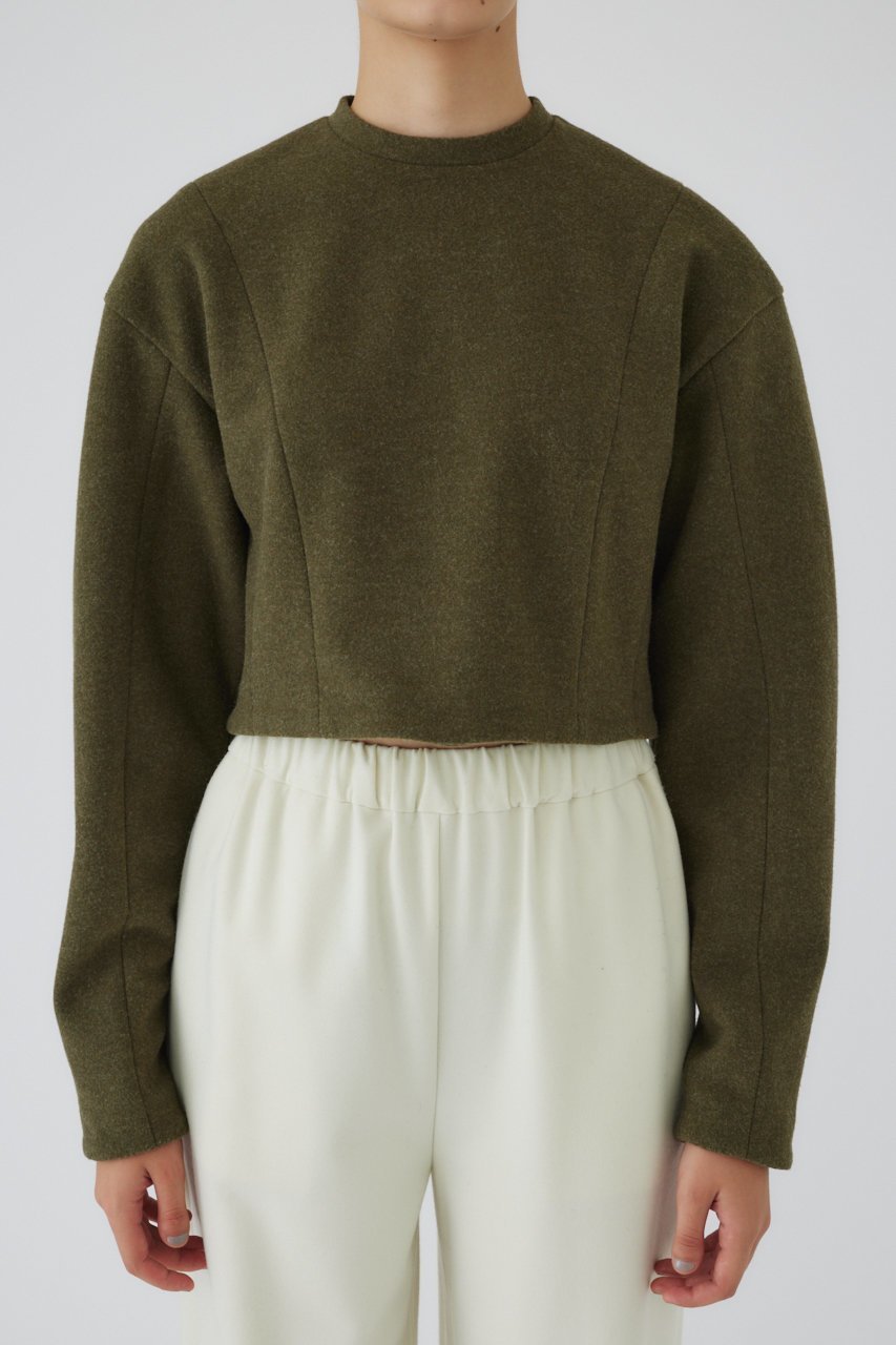 【リムアーク/RIM.ARK】のWarming jersey cropped PO/プルオーバー 人気、トレンドファッション・服の通販 founy(ファニー) 　ファッション　Fashion　レディースファッション　Fashion for Women　トップス・カットソー　Cut & Sew Tops　シャツ・ブラウス・オフィスカジュアル　Elegant Blouses & Button-Ups　レディースパーカー・カジュアルフーディー　Casual Hoodies & Sweatshirts　ロングTシャツ・Tシャツ　Longline T-Shirts & Tees　カジュアルプルオーバー・ニットトップス　Pullovers & Knit Tops / Casual Pullovers　スウェット・クルーネックトップス　Sweatshirts & Crewnecks / Relaxed Fit Sweat Tops　カットソー・ベーシックTシャツ　Cut-and-Sewn Tops / Stretch Tees & Basics　ショート　Short, Short Length　スタイリッシュ　Stylish, Fashionable　モダン　Modern, Contemporary　A/W・秋冬　Autumn/Winter　other-2|ID: prp329100004216026 ipo3291000000032841625